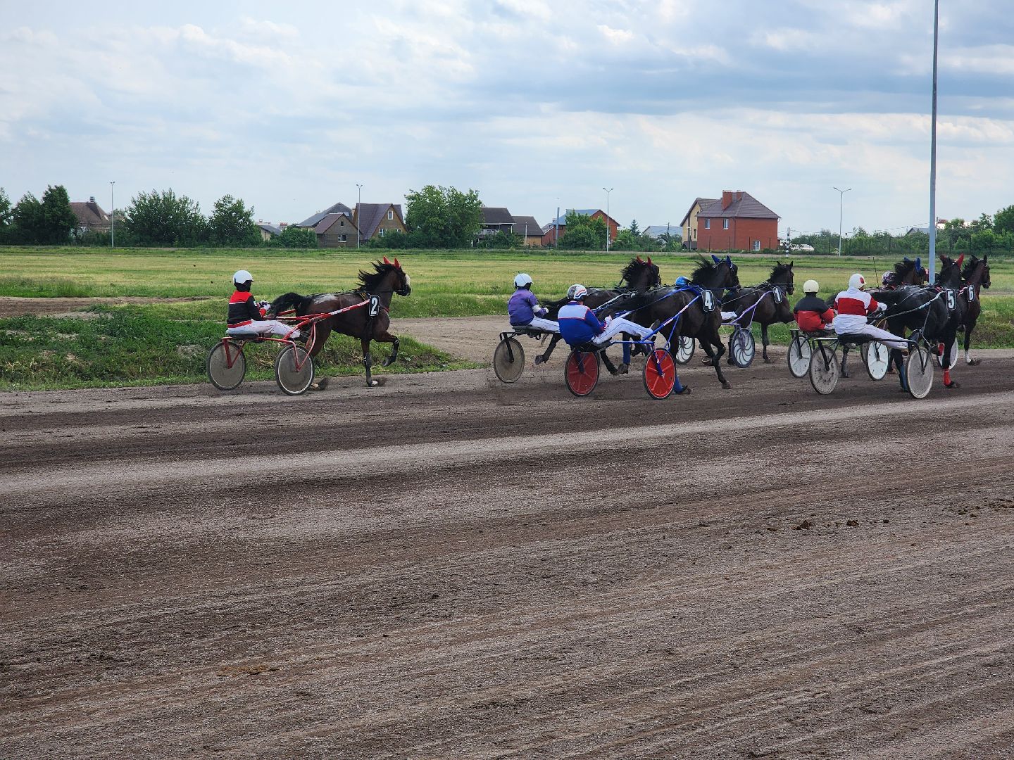 раменское, сельское хозяйство, раменский ипподром, испытания лошадей рысистых пород,