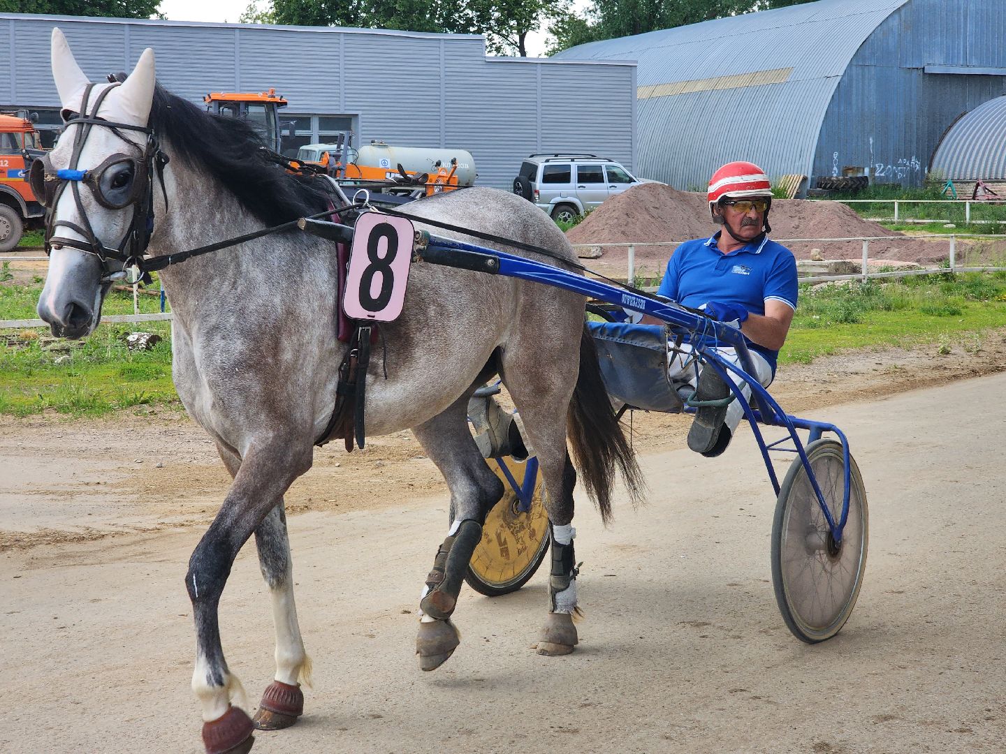 раменское, сельское хозяйство, раменский ипподром, испытания лошадей рысистых пород,