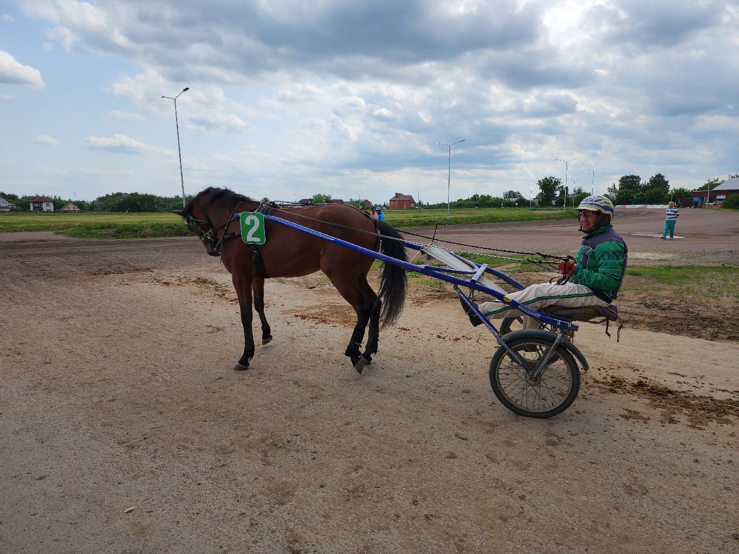 раменское, сельское хозяйство, раменский ипподром, испытания лошадей рысистых пород,