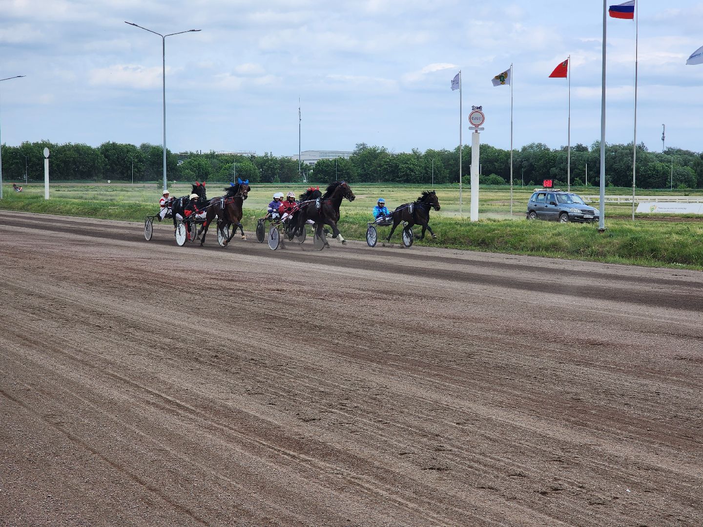 раменское, сельское хозяйство, раменский ипподром, испытания лошадей рысистых пород,