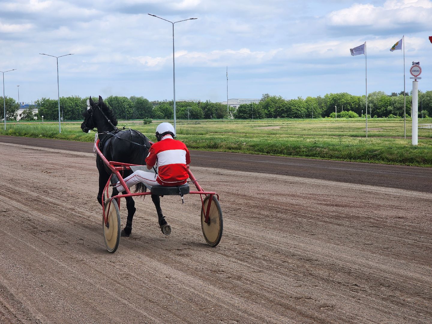 раменское, сельское хозяйство, раменский ипподром, испытания лошадей рысистых пород,