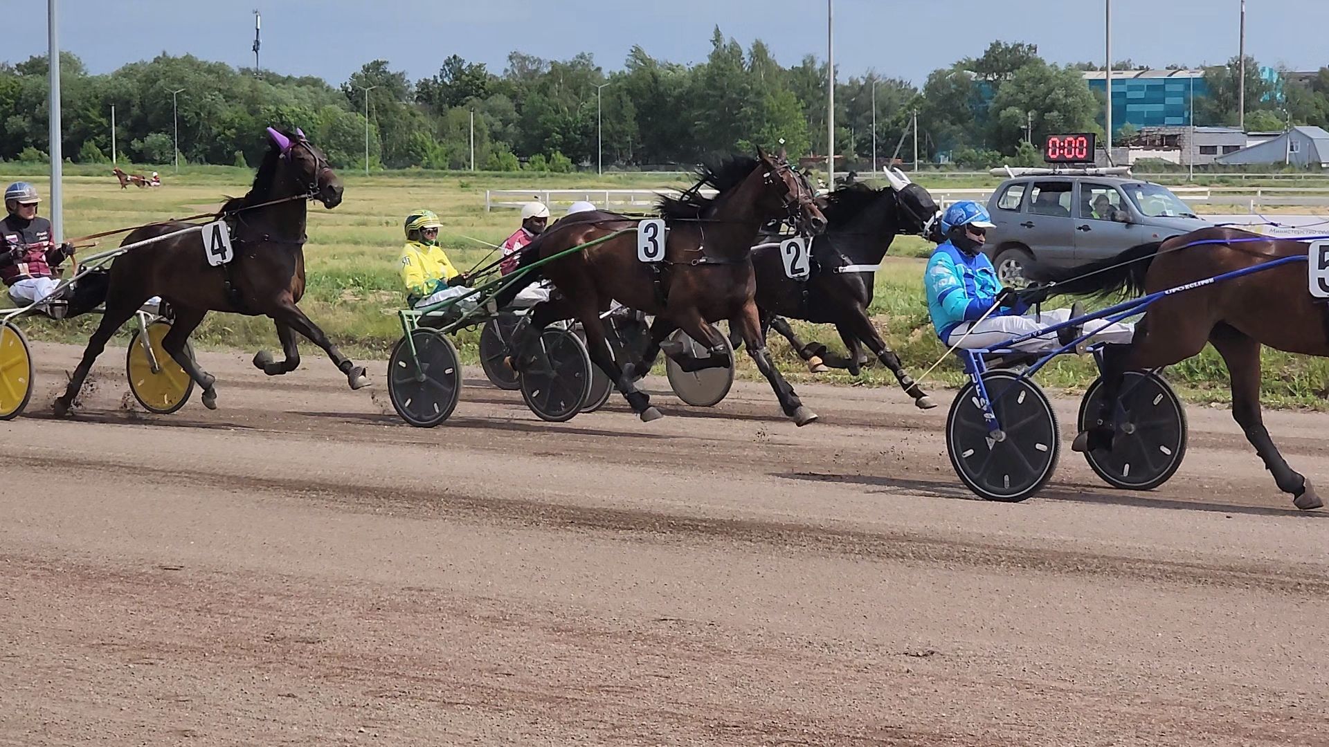 раменское, сельское хозяйство, раменский ипподром, испытания лошадей рысистых пород,