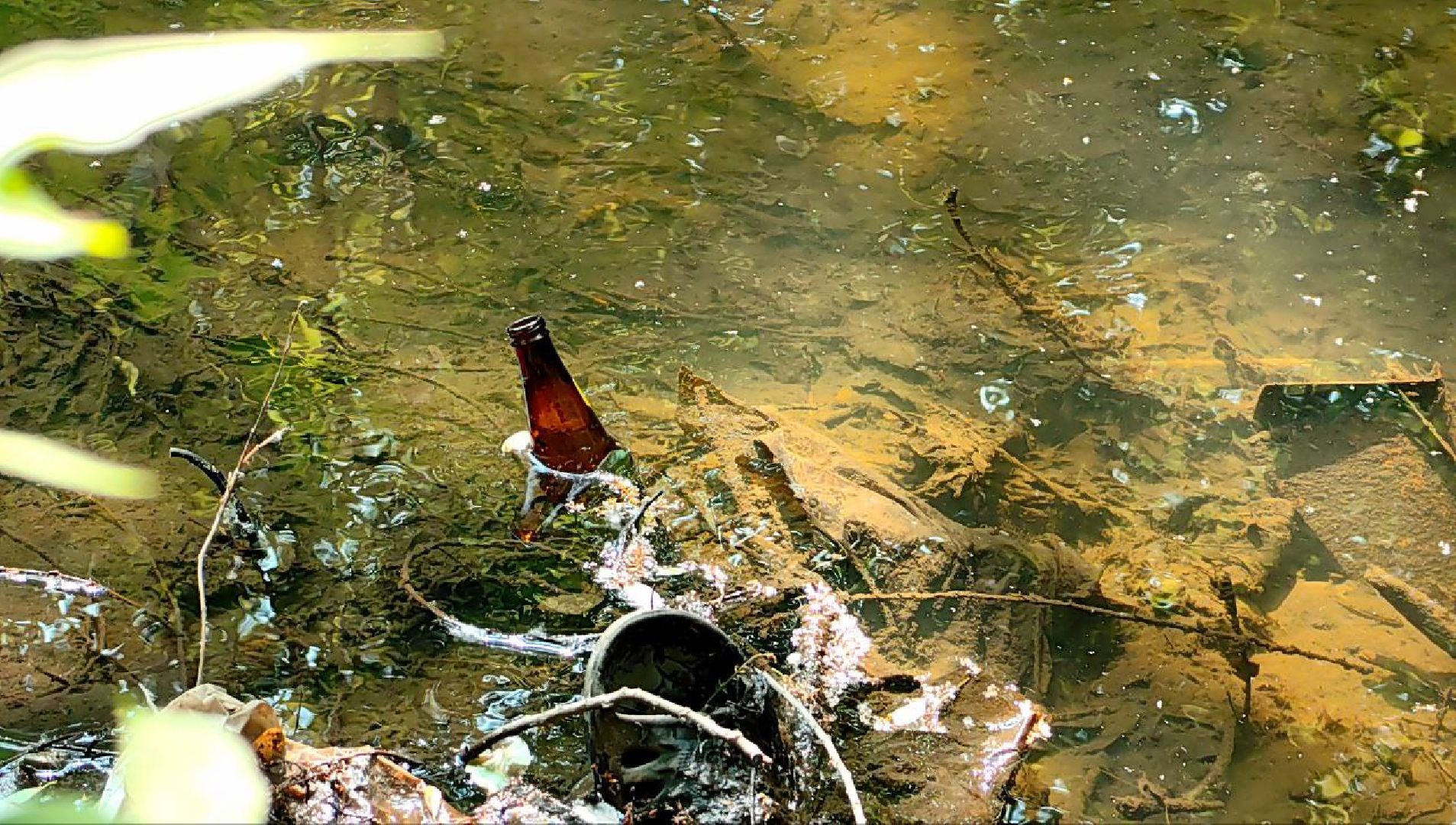 вода россии, акция, ручей, экология,