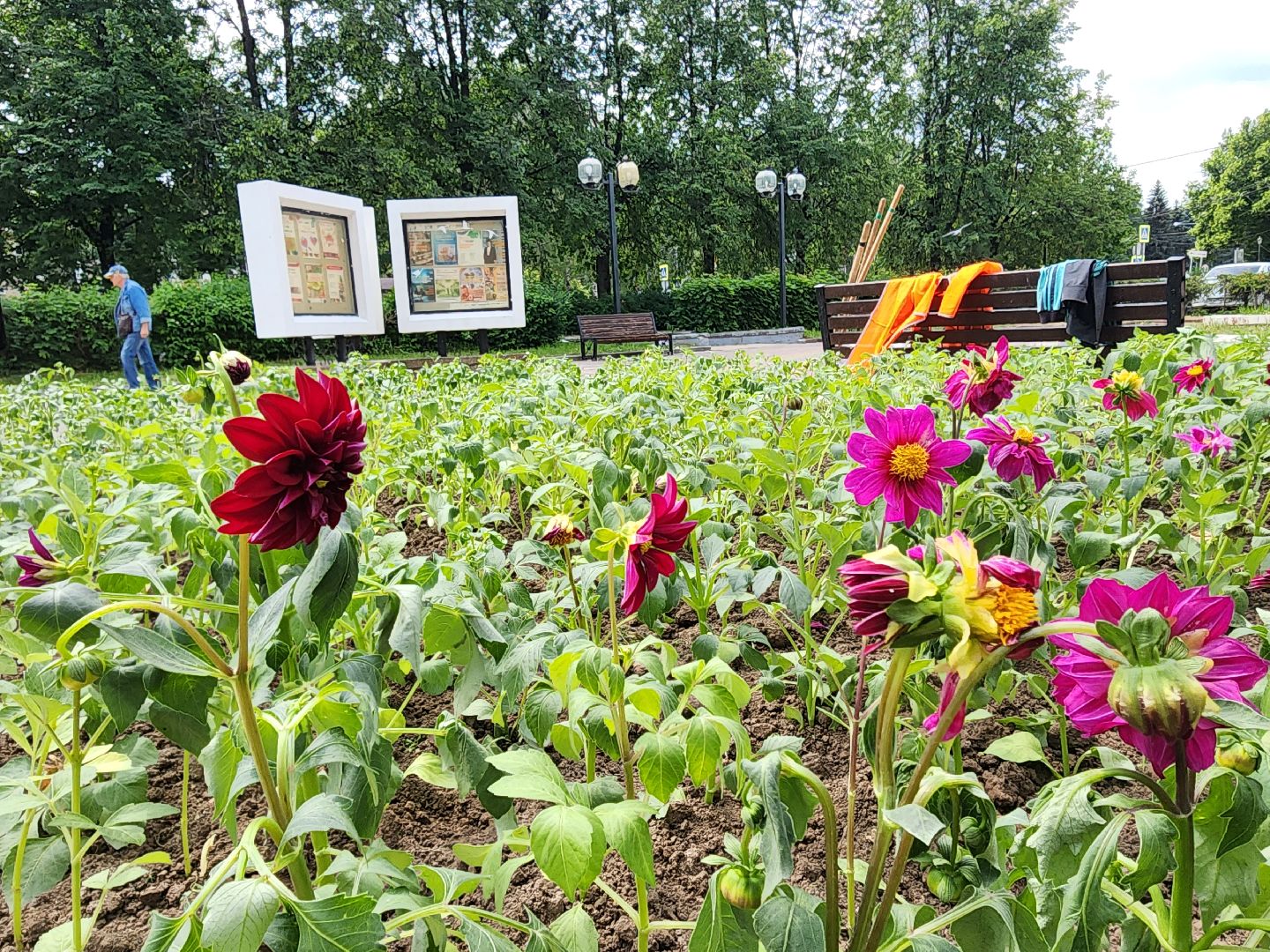 пущино, молодежь, серпухов, лето 2025,