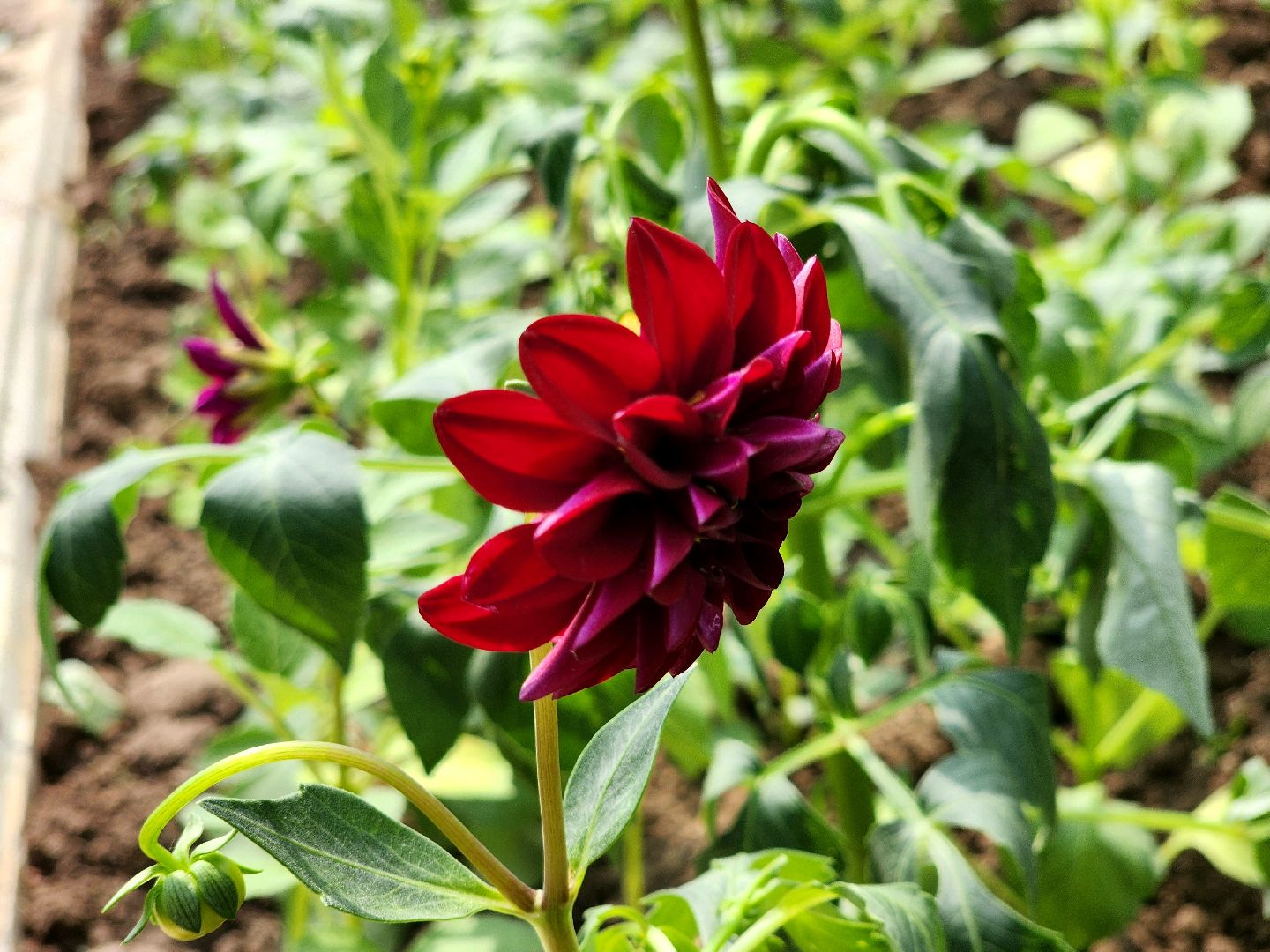 пущино, молодежь, серпухов, лето 2025,