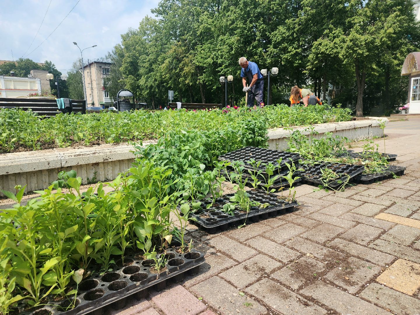 пущино, молодежь, серпухов, лето 2025,