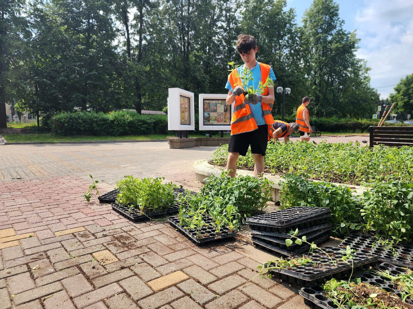 пущино, молодежь, серпухов, лето 2025,