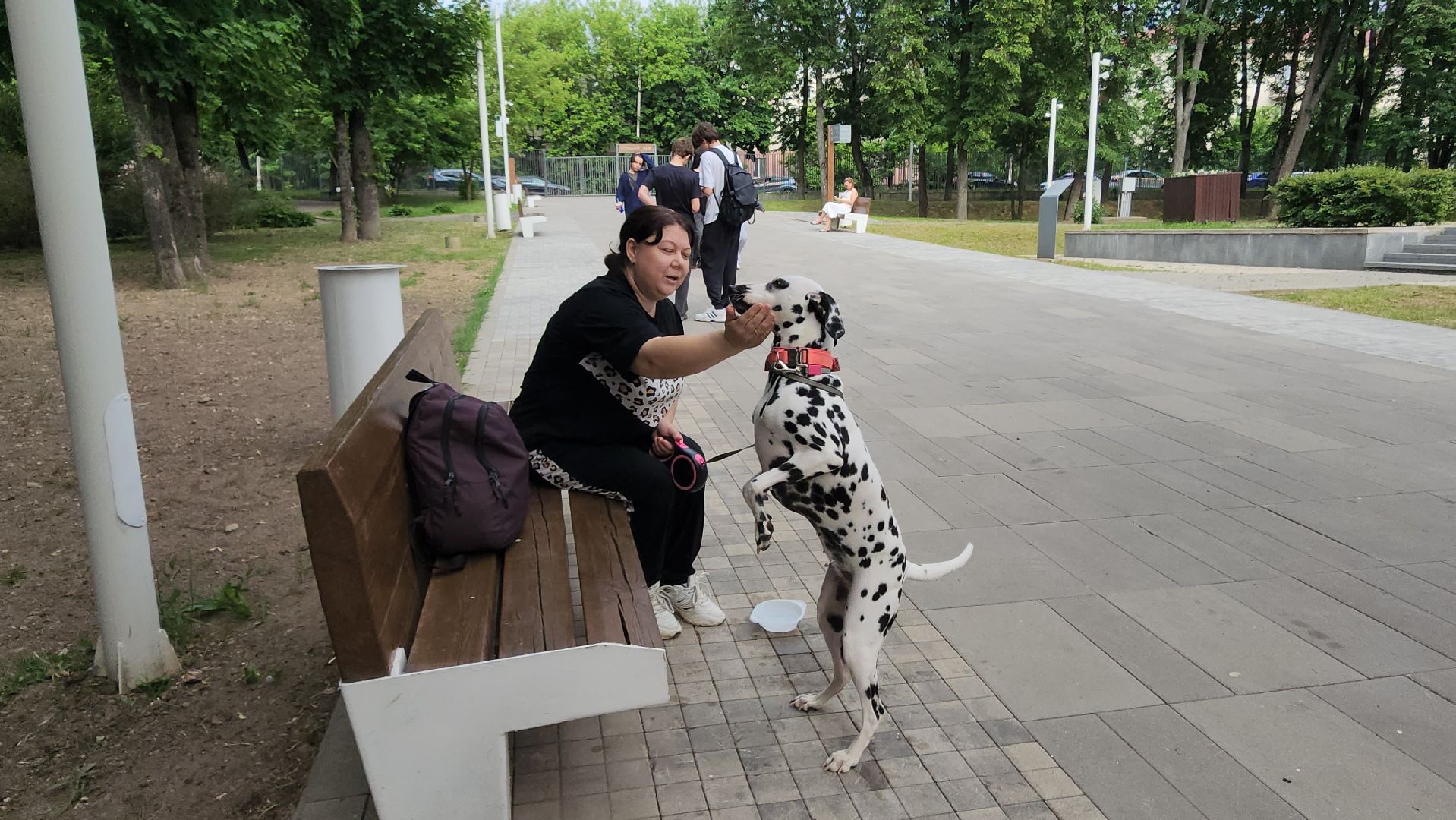 Истра, Парк, Досуг,