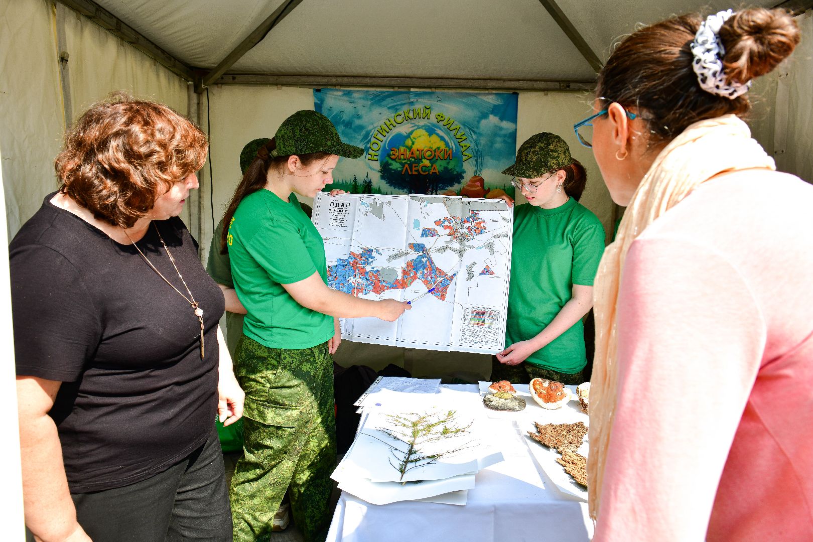 эко, экология, природа,