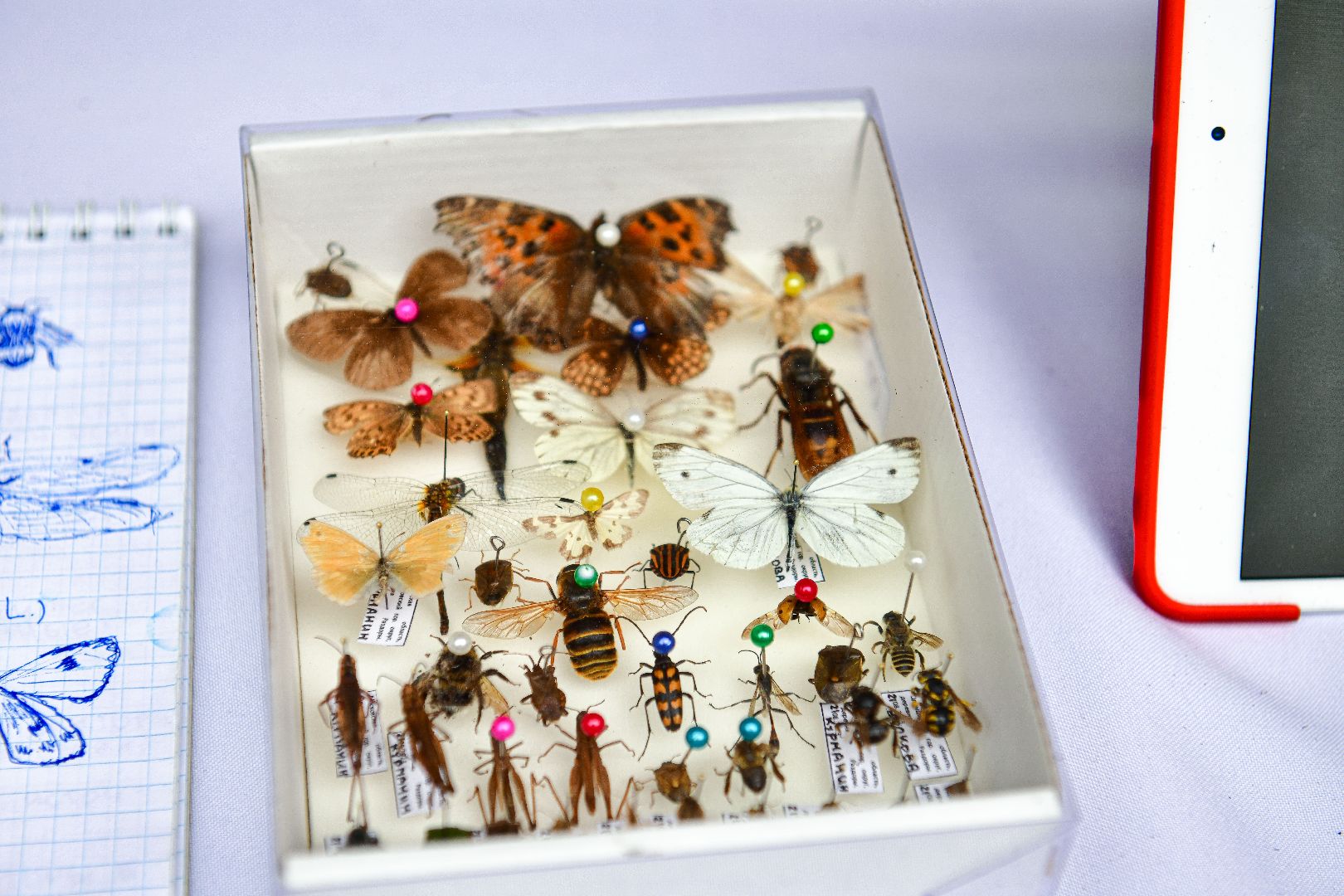 эко, экология, природа,