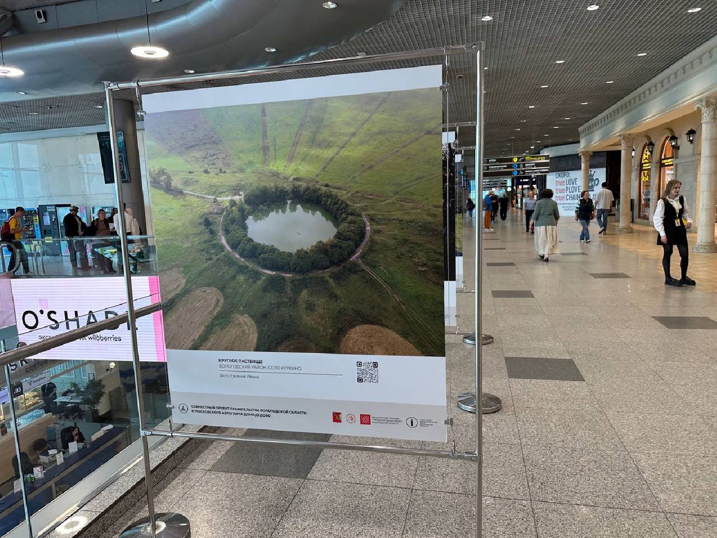 фотовыставка, домодедово,