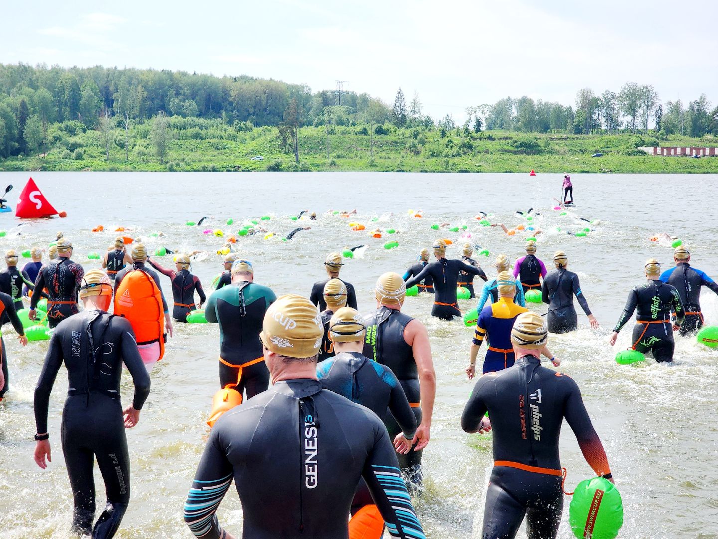 swimcup, соревнования по плаванию, сергиево-посадский городской округ,