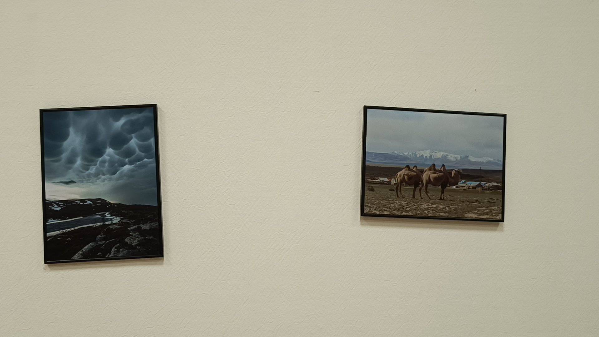 фотография, выставка, лобня, библиотека,