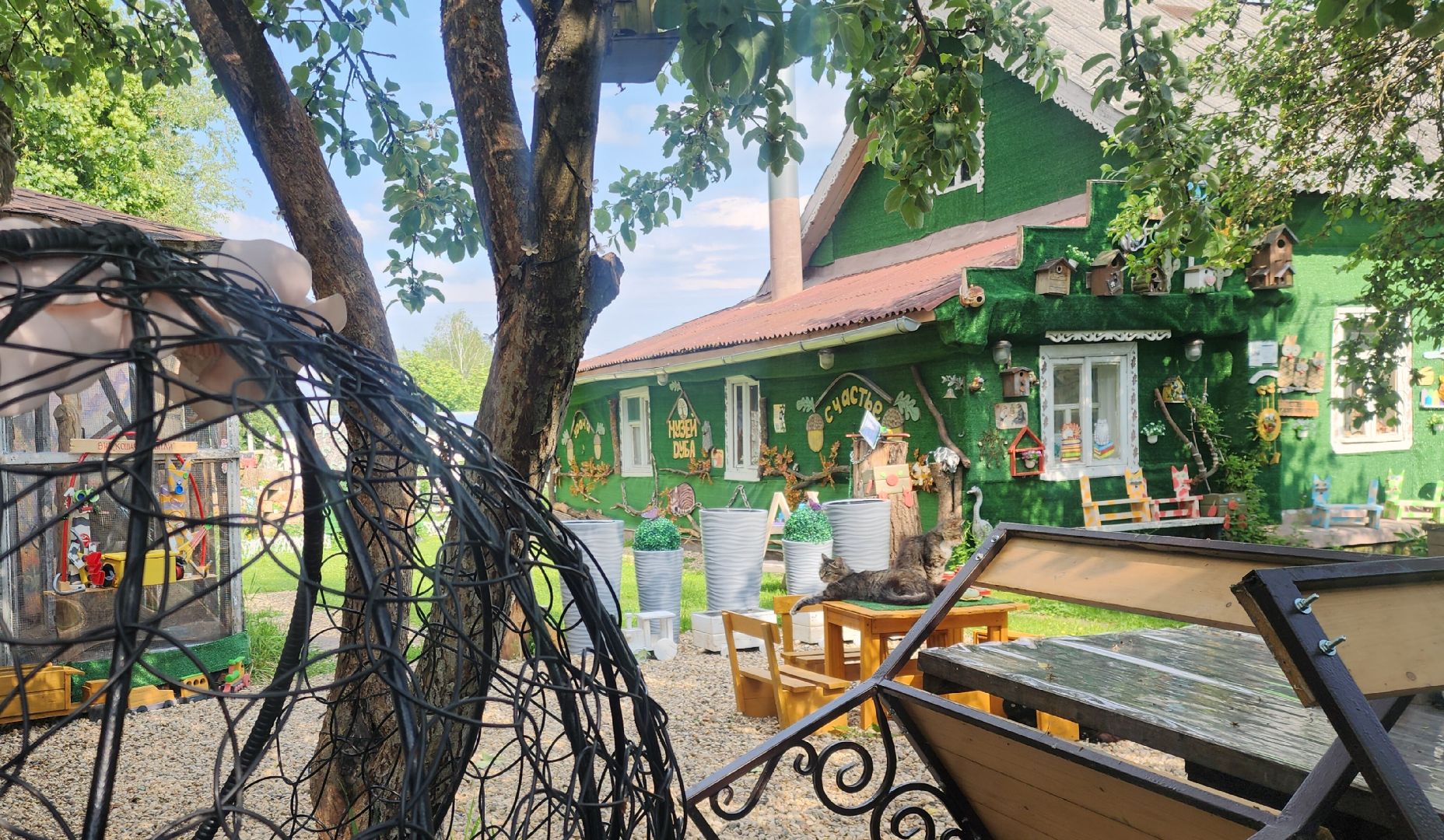 Звенигород, Туризм, Дары дуба,Культура,