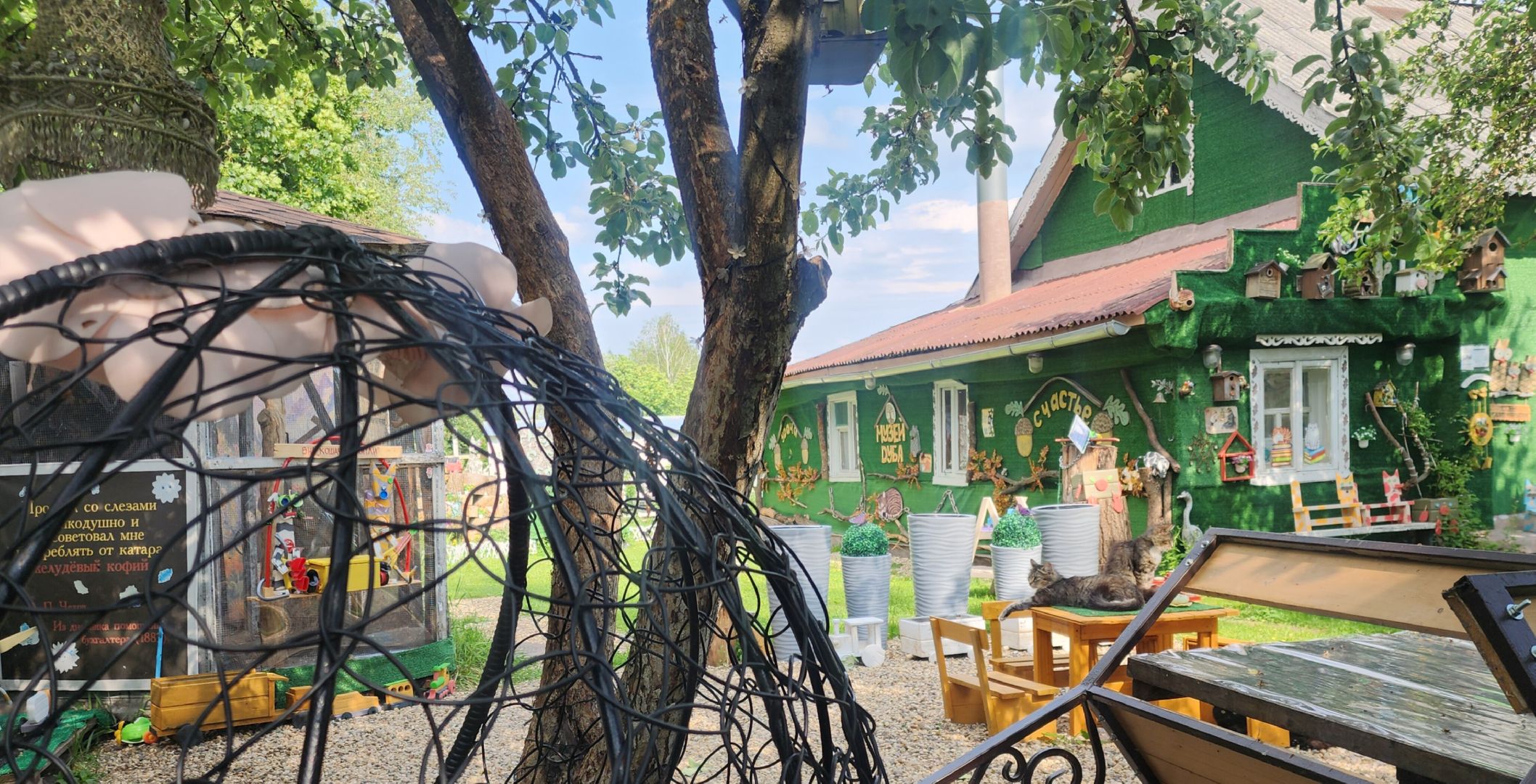 Звенигород, Туризм, Дары дуба,Культура,