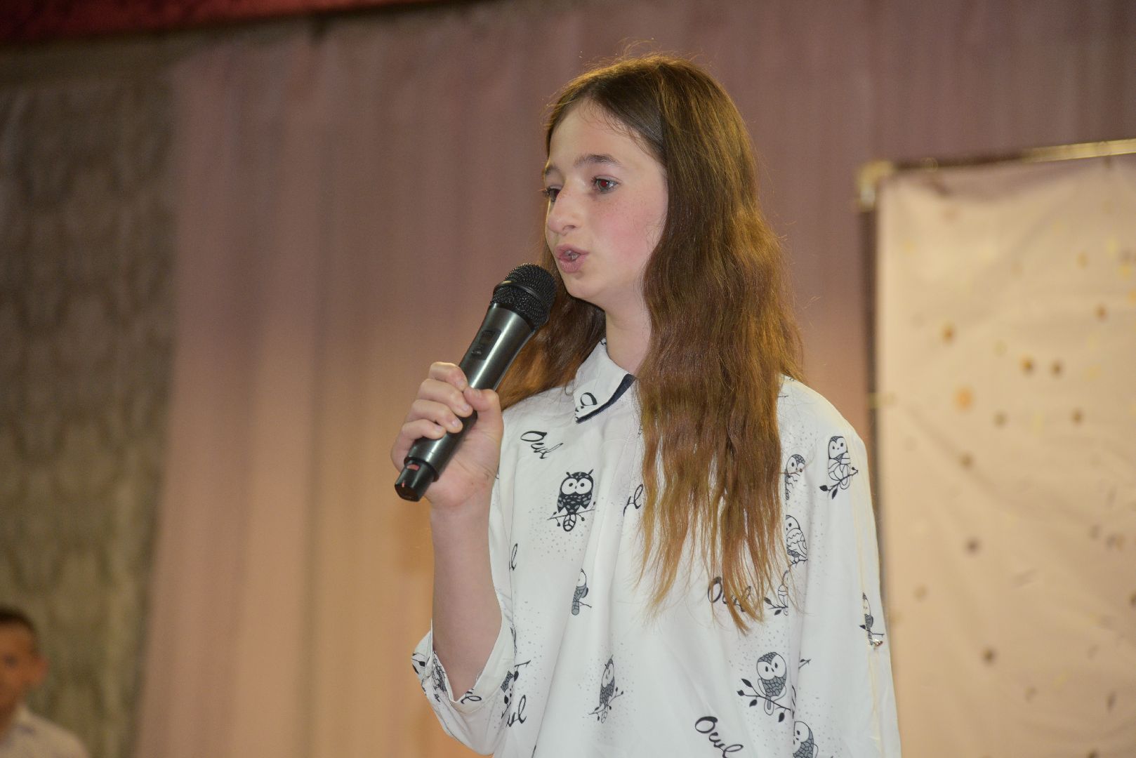 лотошино, дни деревень, концерт,