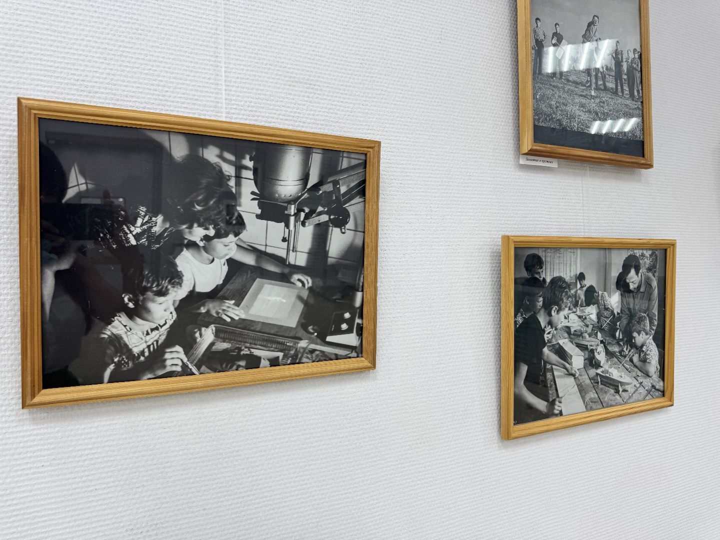 шаховская, выставка, фотовыставка,