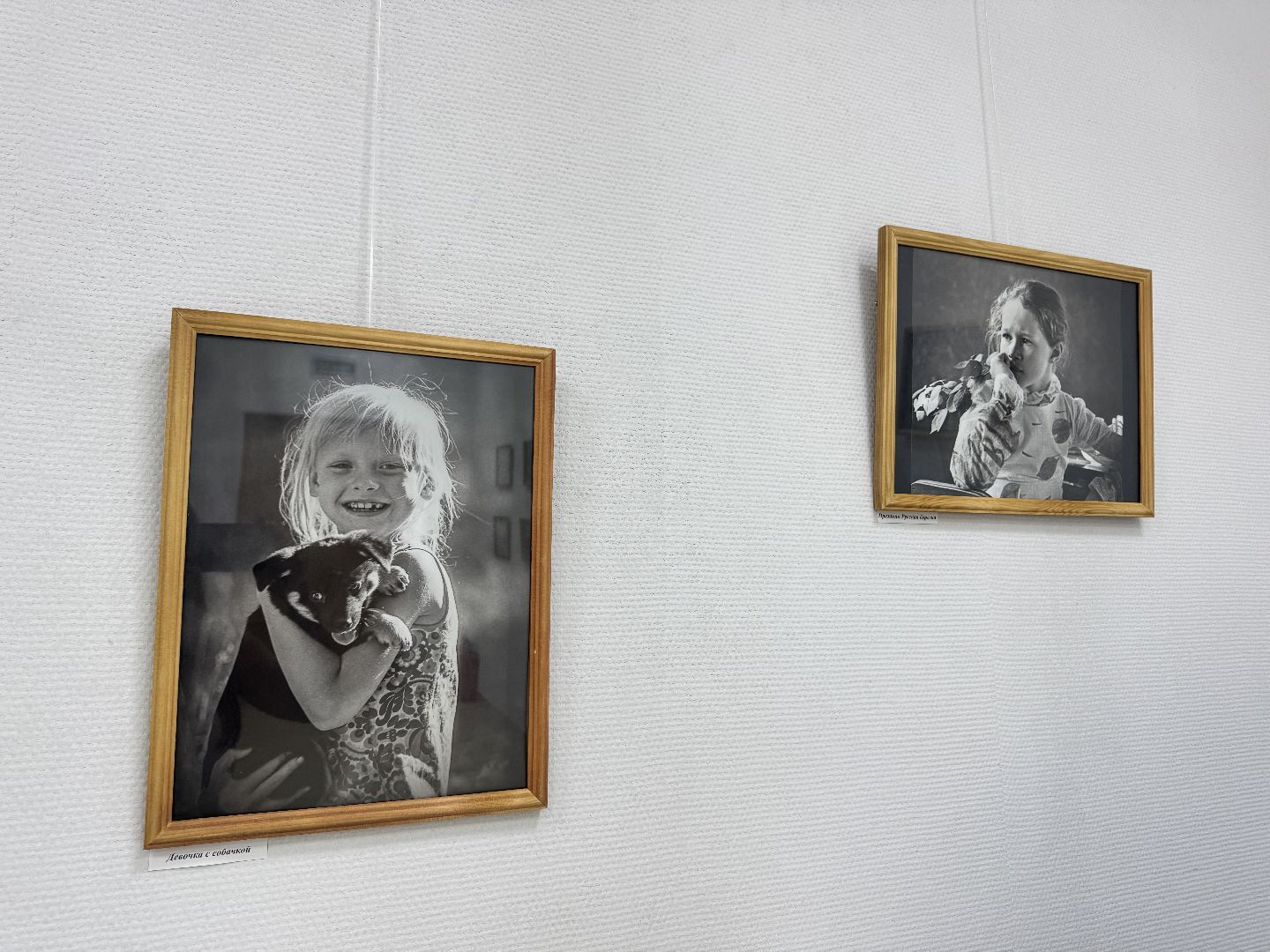 шаховская, выставка, фотовыставка,