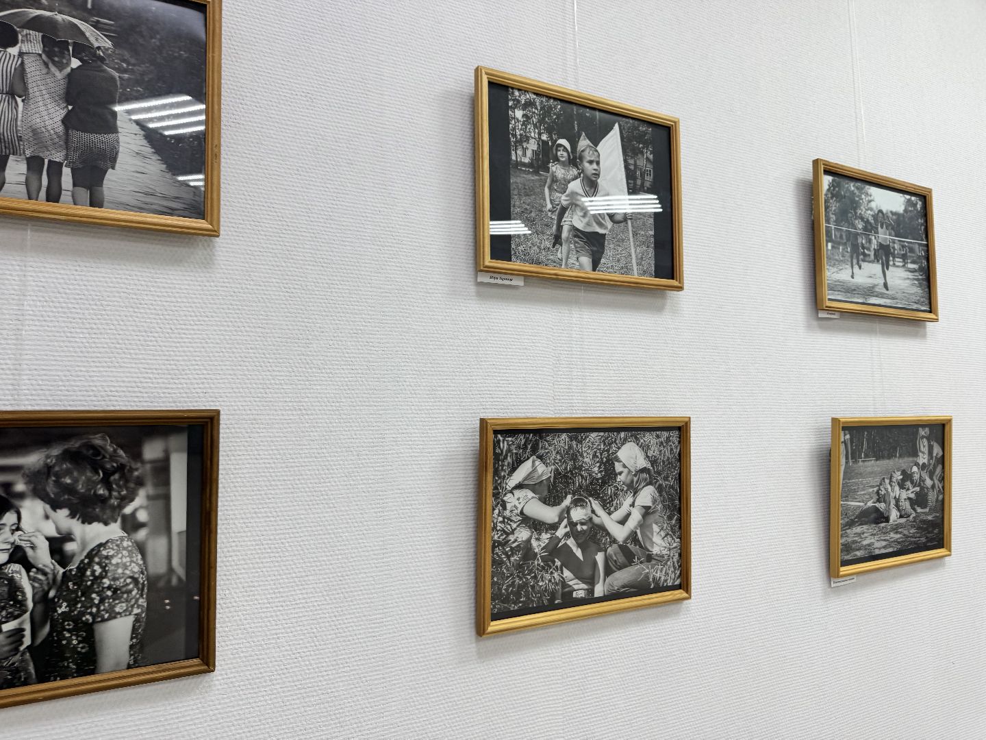 шаховская, выставка, фотовыставка,