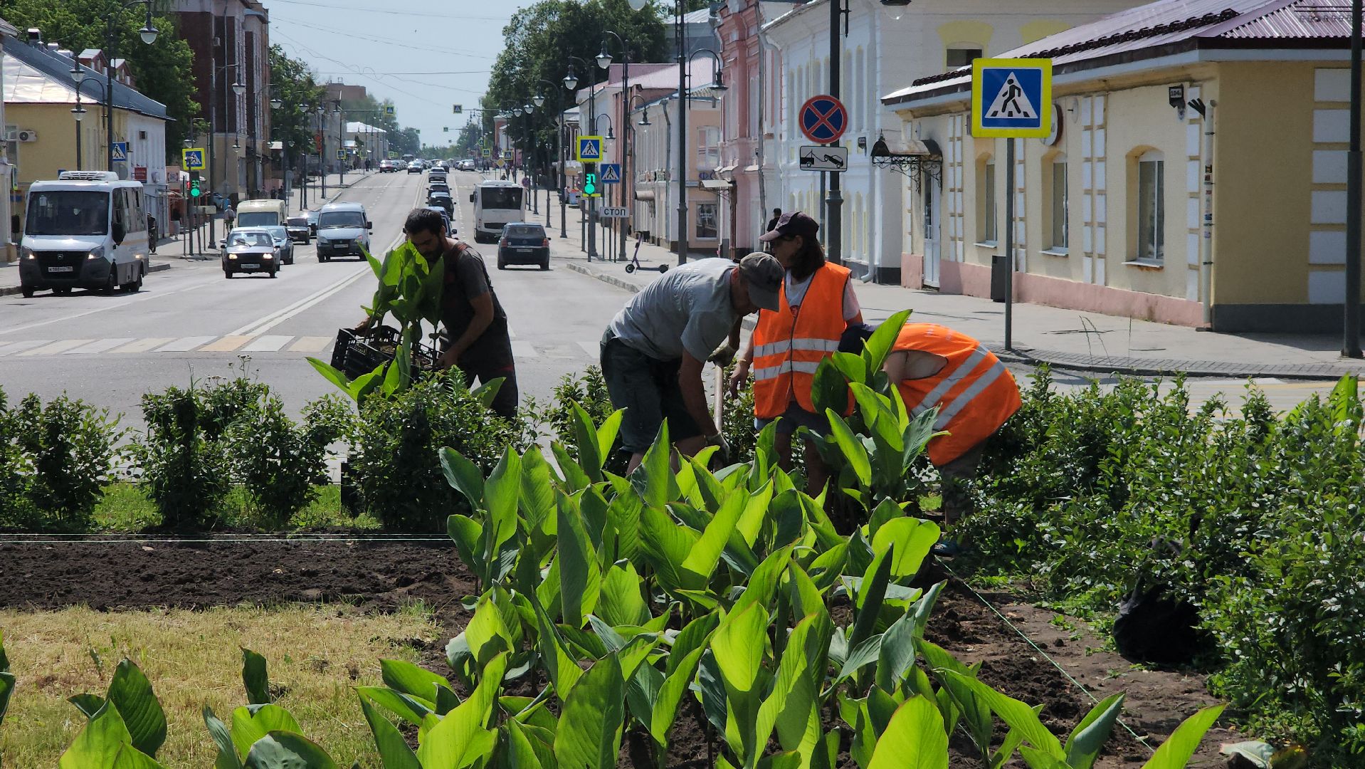 Егорьевск , Подмосковье , Московская область ,