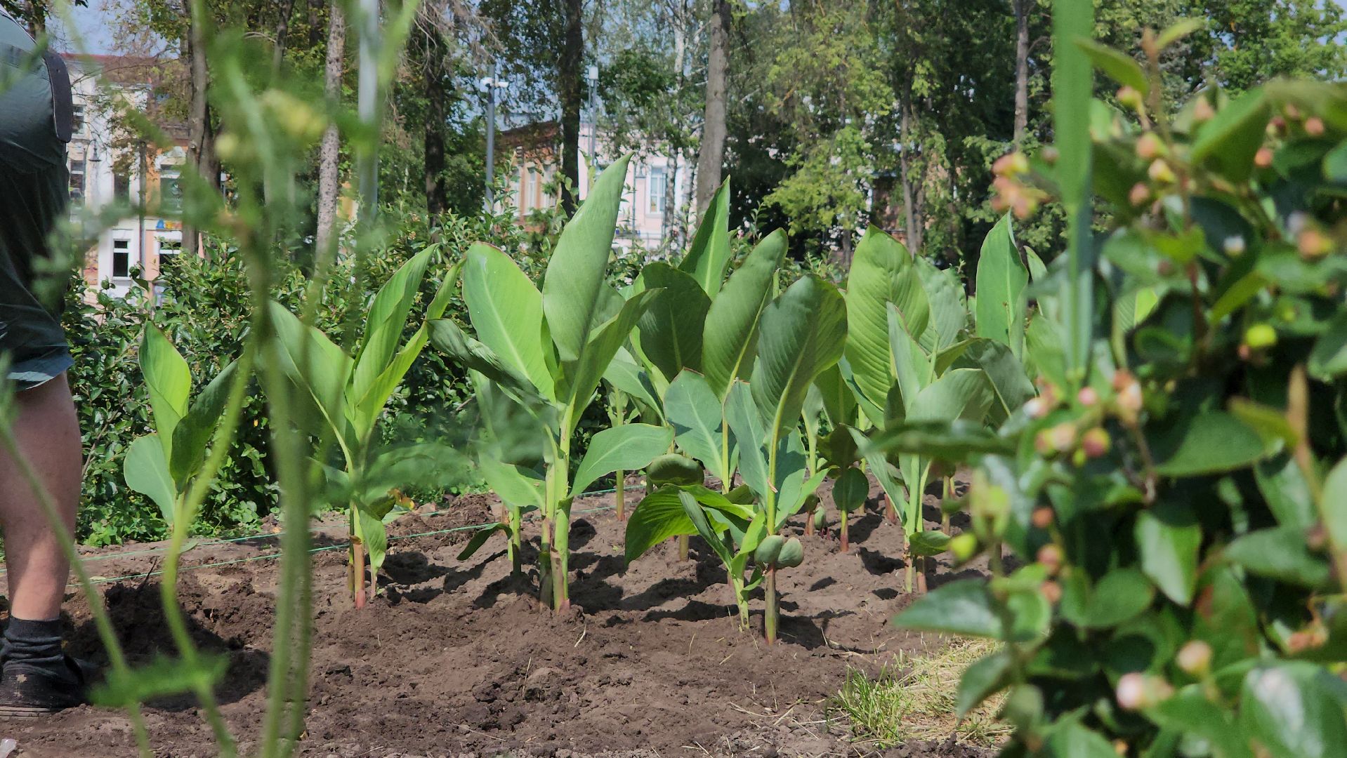 Егорьевск , Подмосковье , Московская область ,