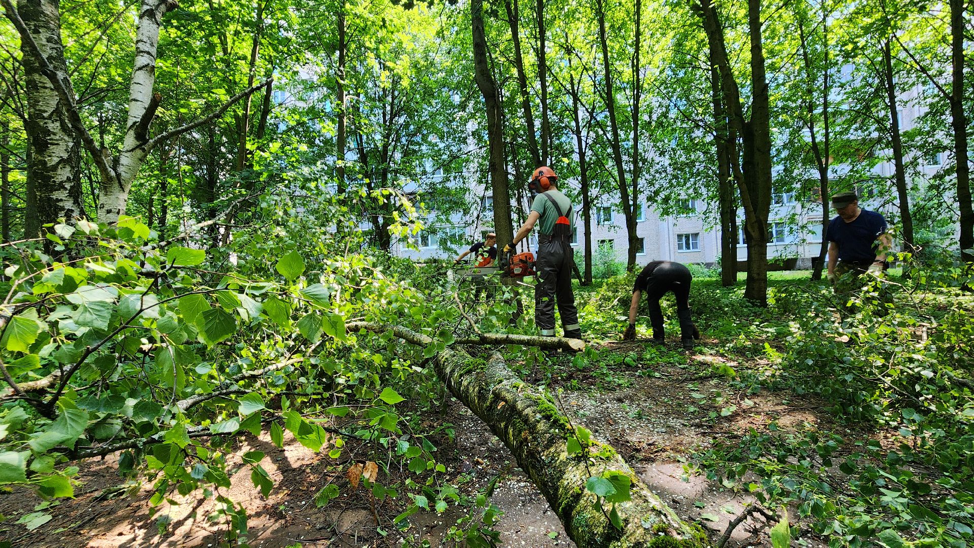 последствия урагана, комбинат благоустройства, протвино,