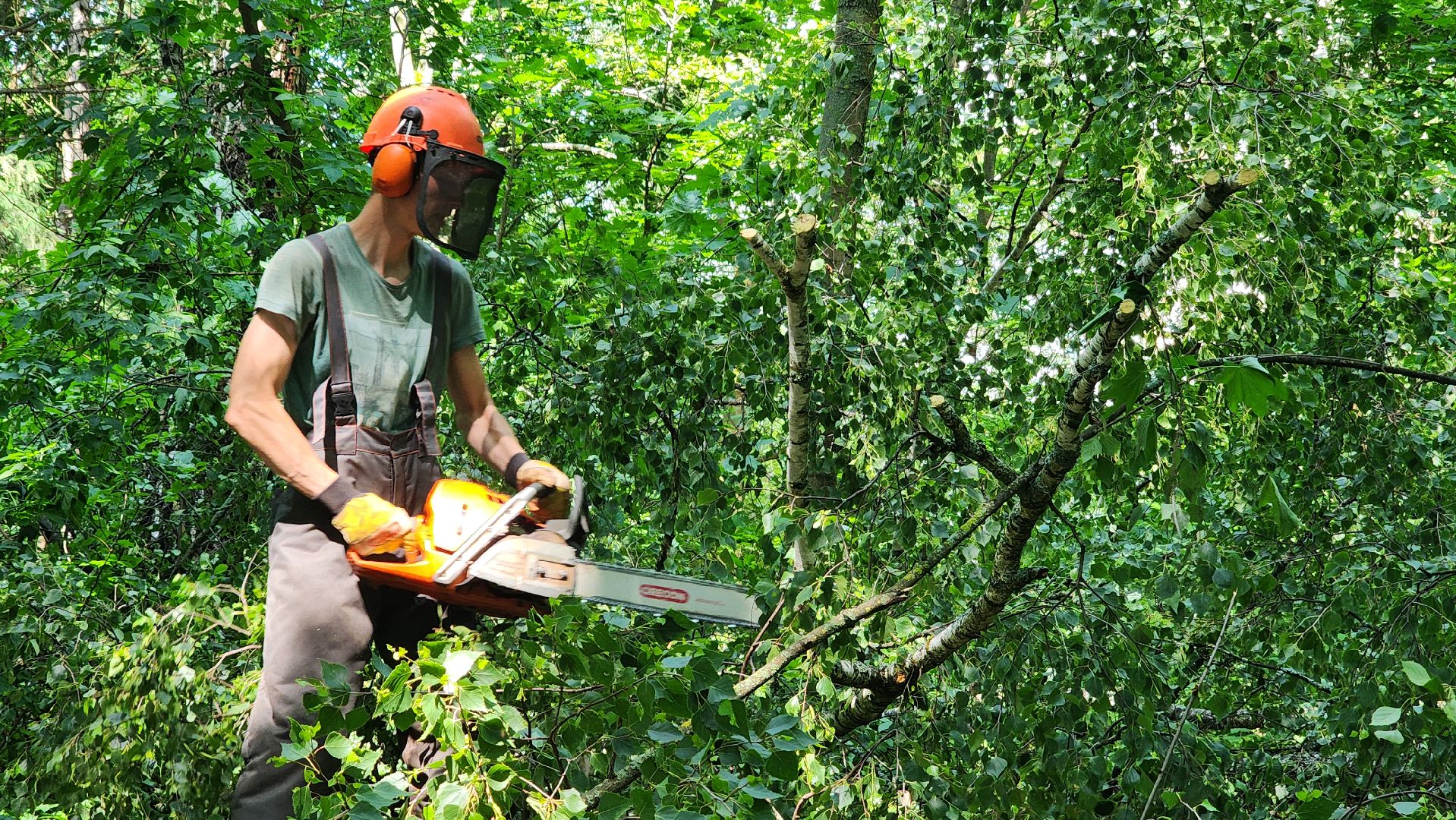 последствия урагана, комбинат благоустройства, протвино,