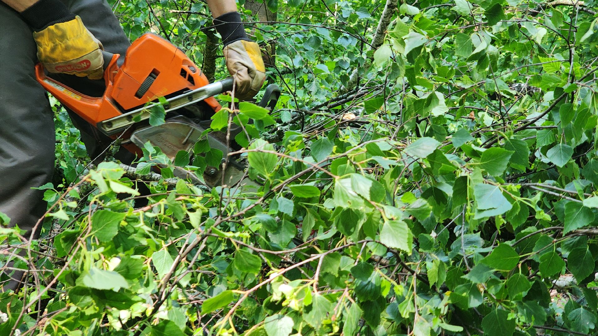последствия урагана, комбинат благоустройства, протвино,