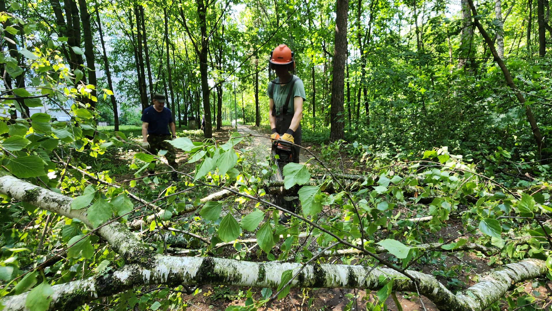 последствия урагана, комбинат благоустройства, протвино,