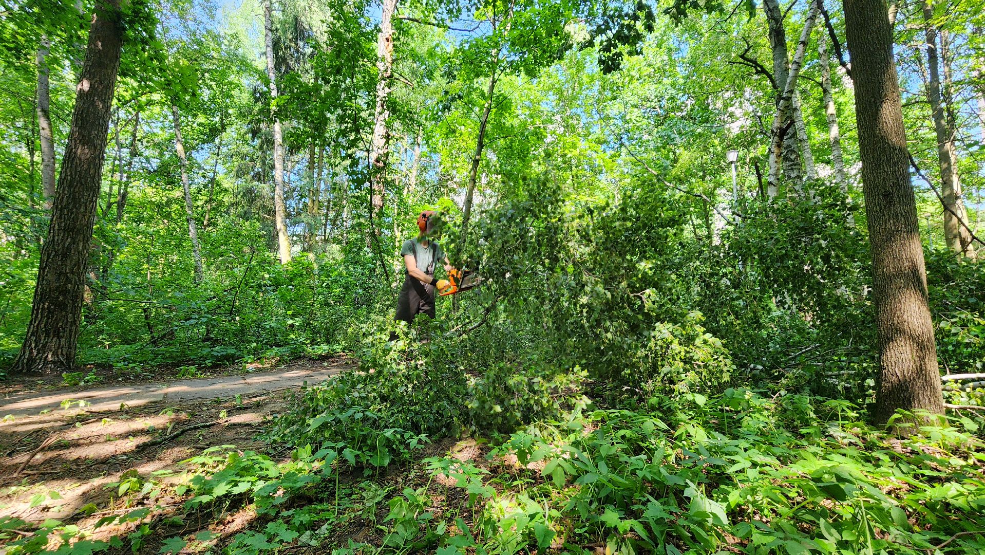 последствия урагана, комбинат благоустройства, протвино,