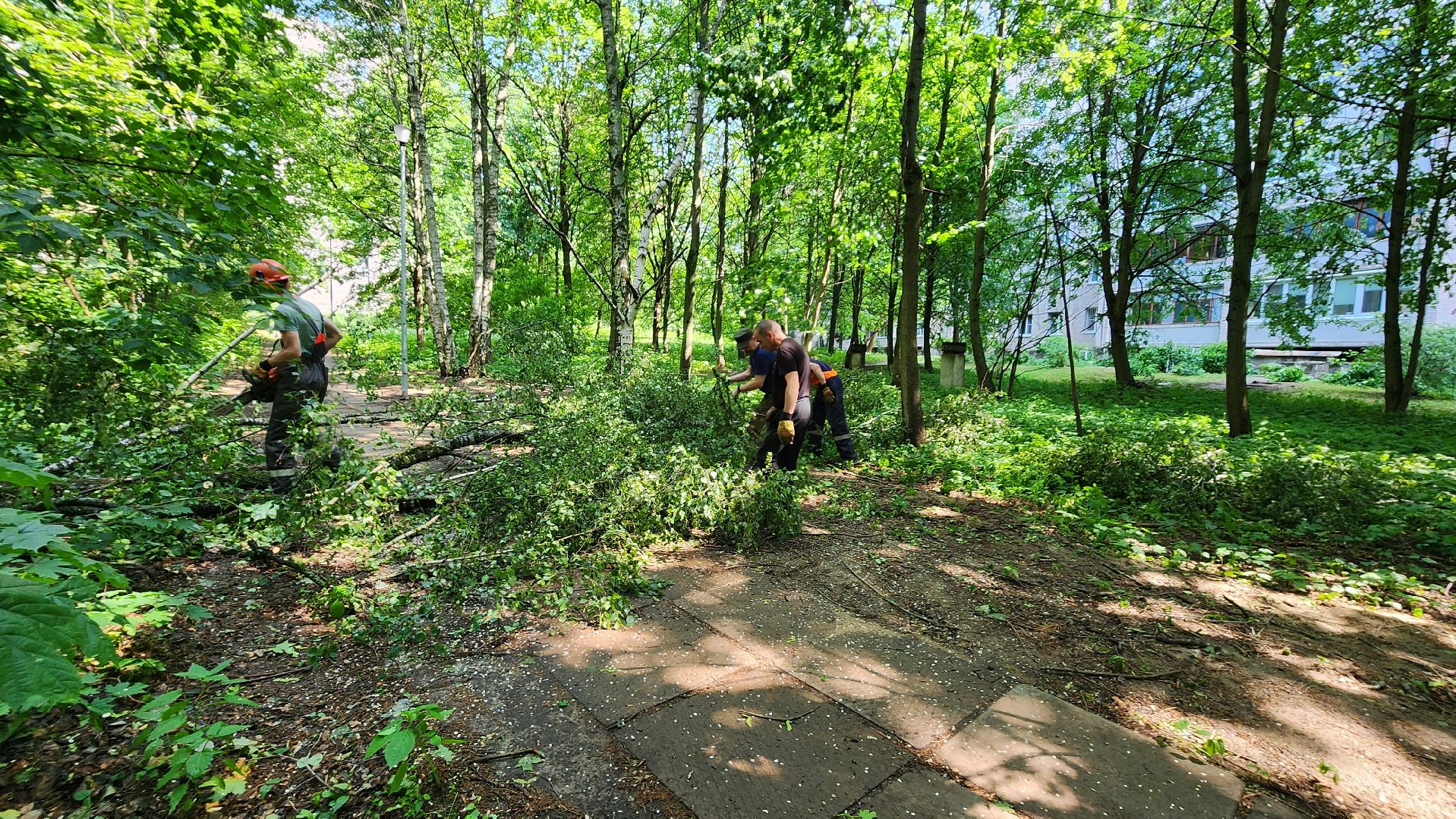 последствия урагана, комбинат благоустройства, протвино,
