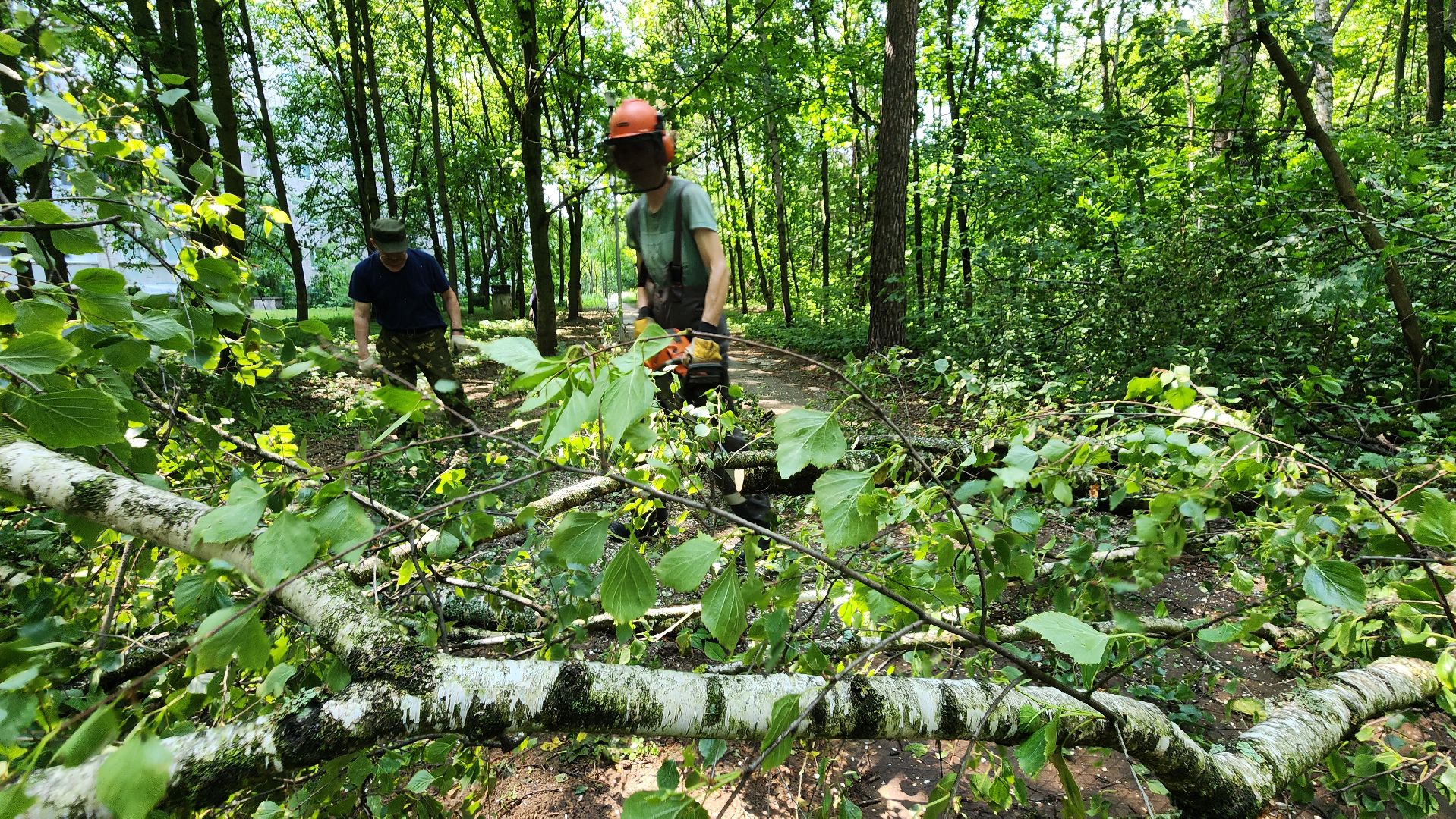 последствия урагана, комбинат благоустройства, протвино,