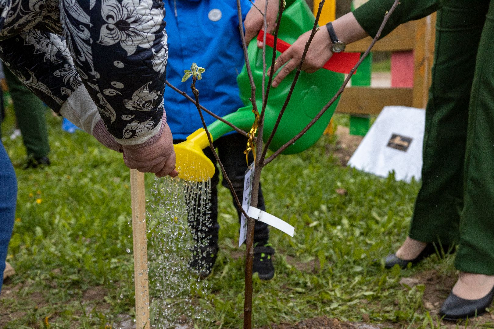 Можайск, Можайский городской округ, Подмосковье, благоустройство, экология, акция, посади дерево, парк семьи, военнослужащие, Иван Конев