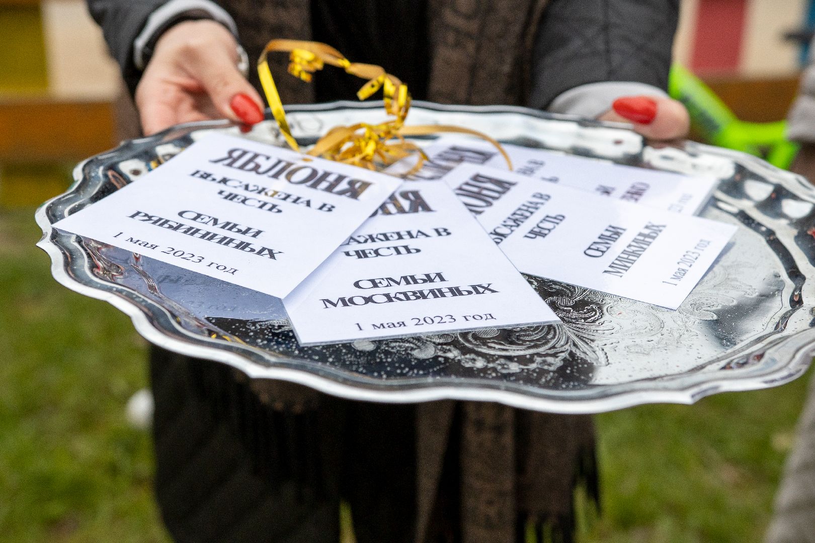 Можайск, Можайский городской округ, Подмосковье, благоустройство, экология, акция, посади дерево, парк семьи, военнослужащие, Иван Конев