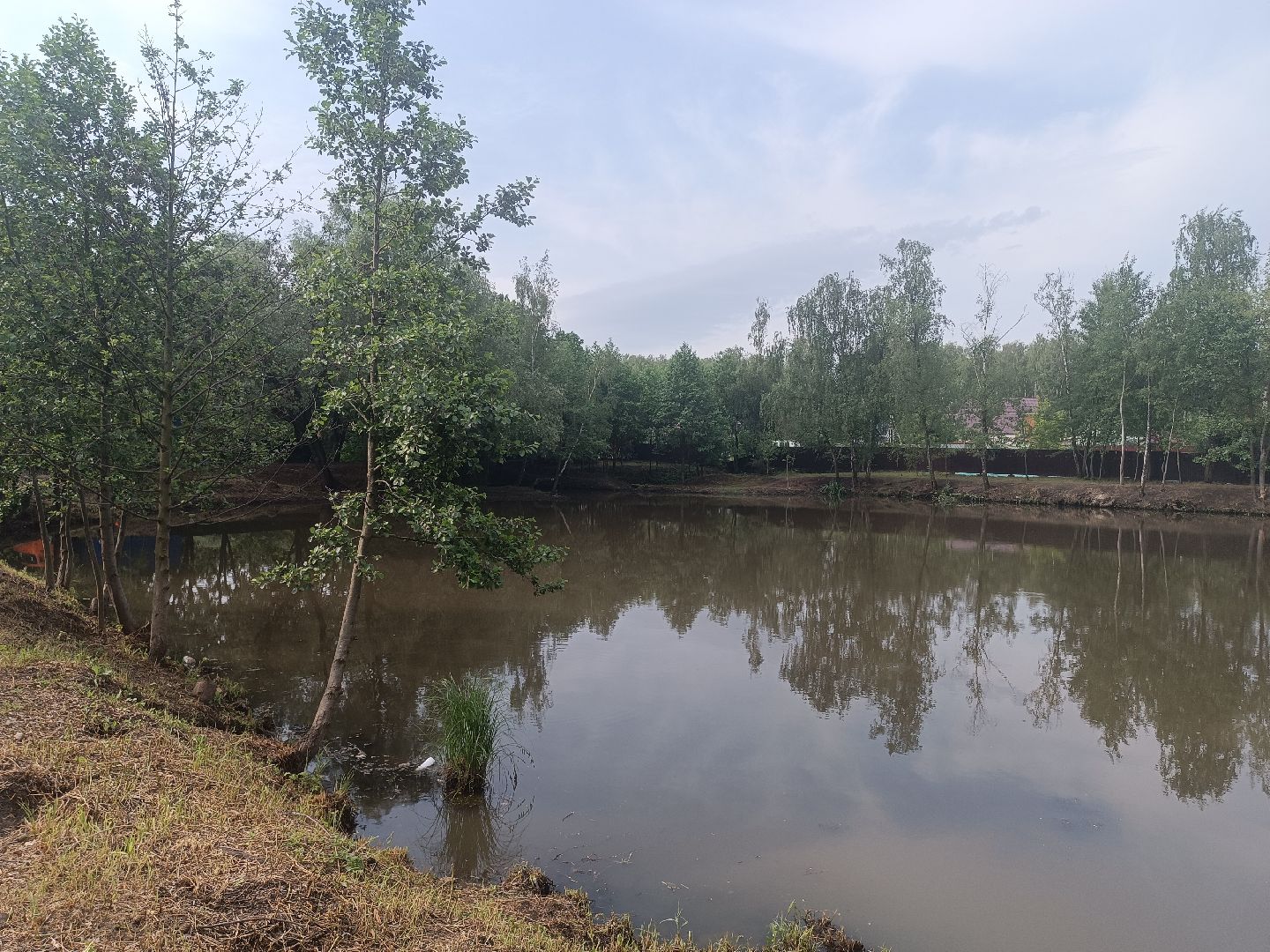 люберцы, снт ручеек, очистка пруда, санитарная обрезка деревьев,