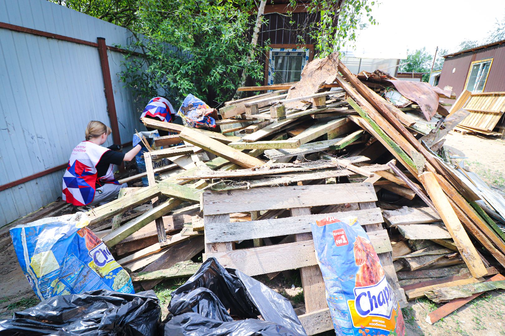 клин, общество,  приют для бездомных животных, животные, помощь, волонтеры, Подмосковье, субботники,