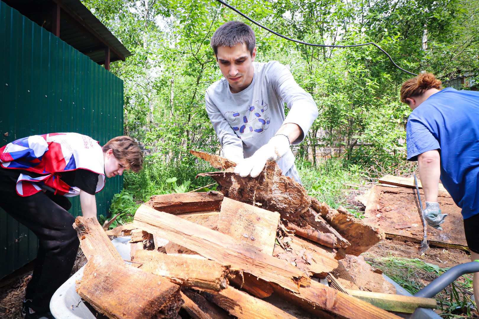 клин, общество,  приют для бездомных животных, животные, помощь, волонтеры, Подмосковье, субботники,