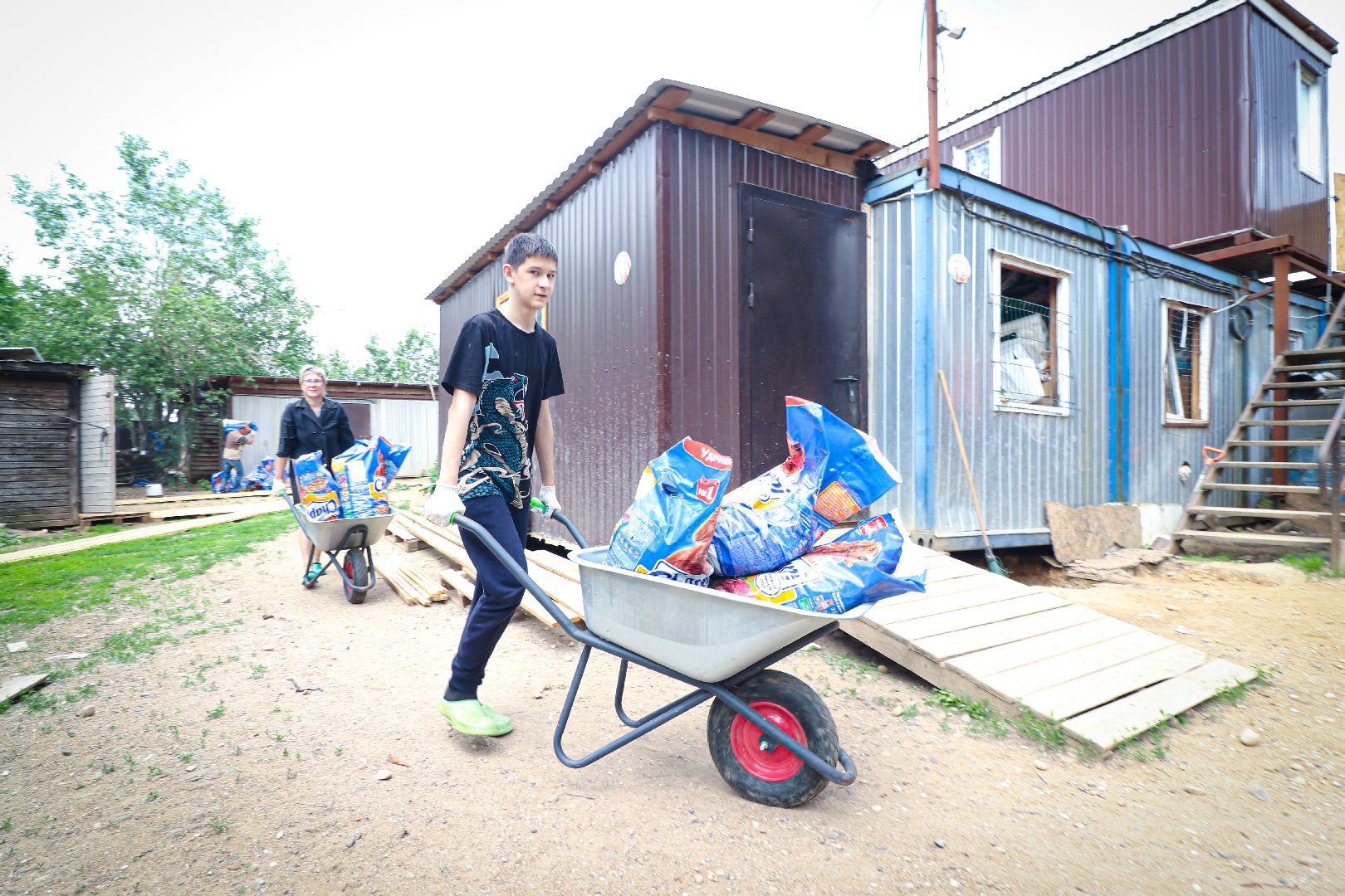 клин, общество,  приют для бездомных животных, животные, помощь, волонтеры, Подмосковье, субботники,