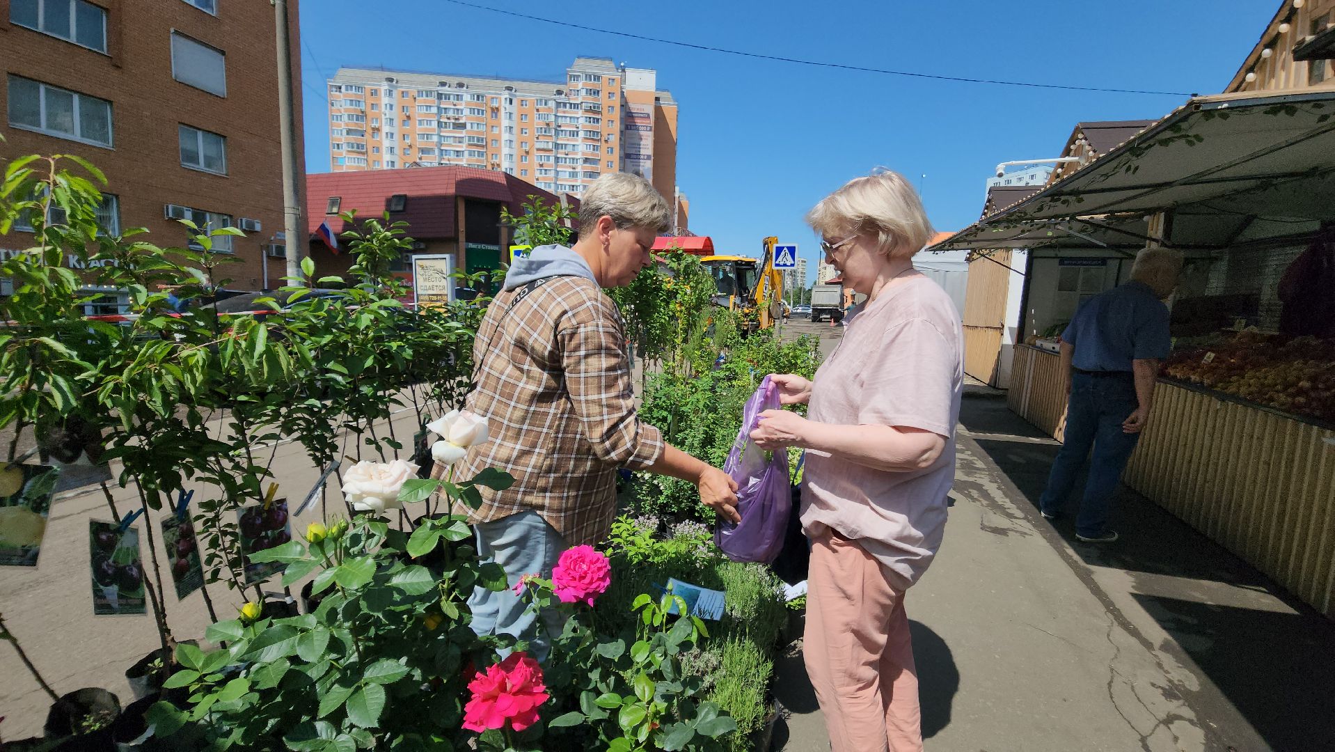 ярмарка, красногорск, продукты,лето в подмосковье,