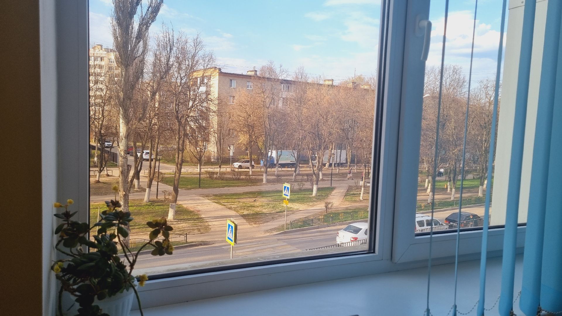 Подмосковье,Ивантеевка, образование