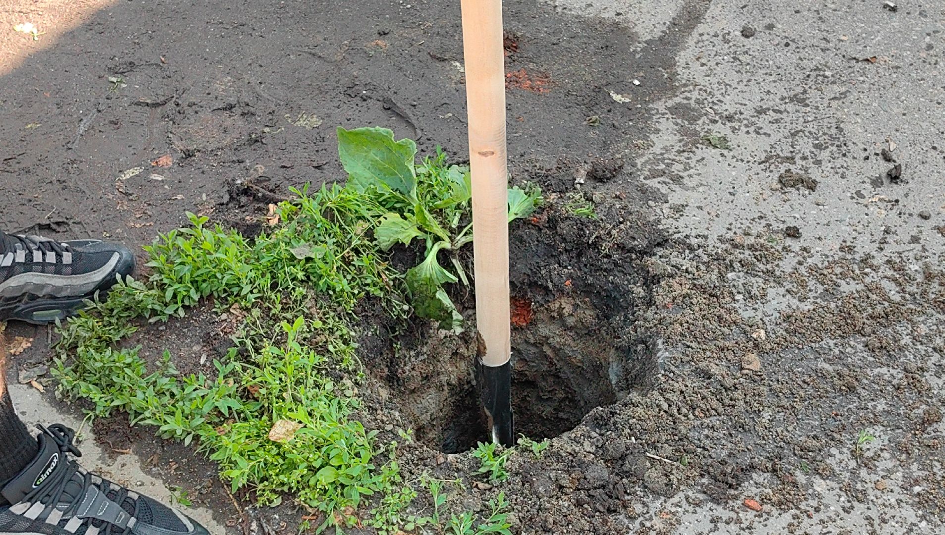 трудовое лето, подростки, школьники, инвентарь, благоустройство,