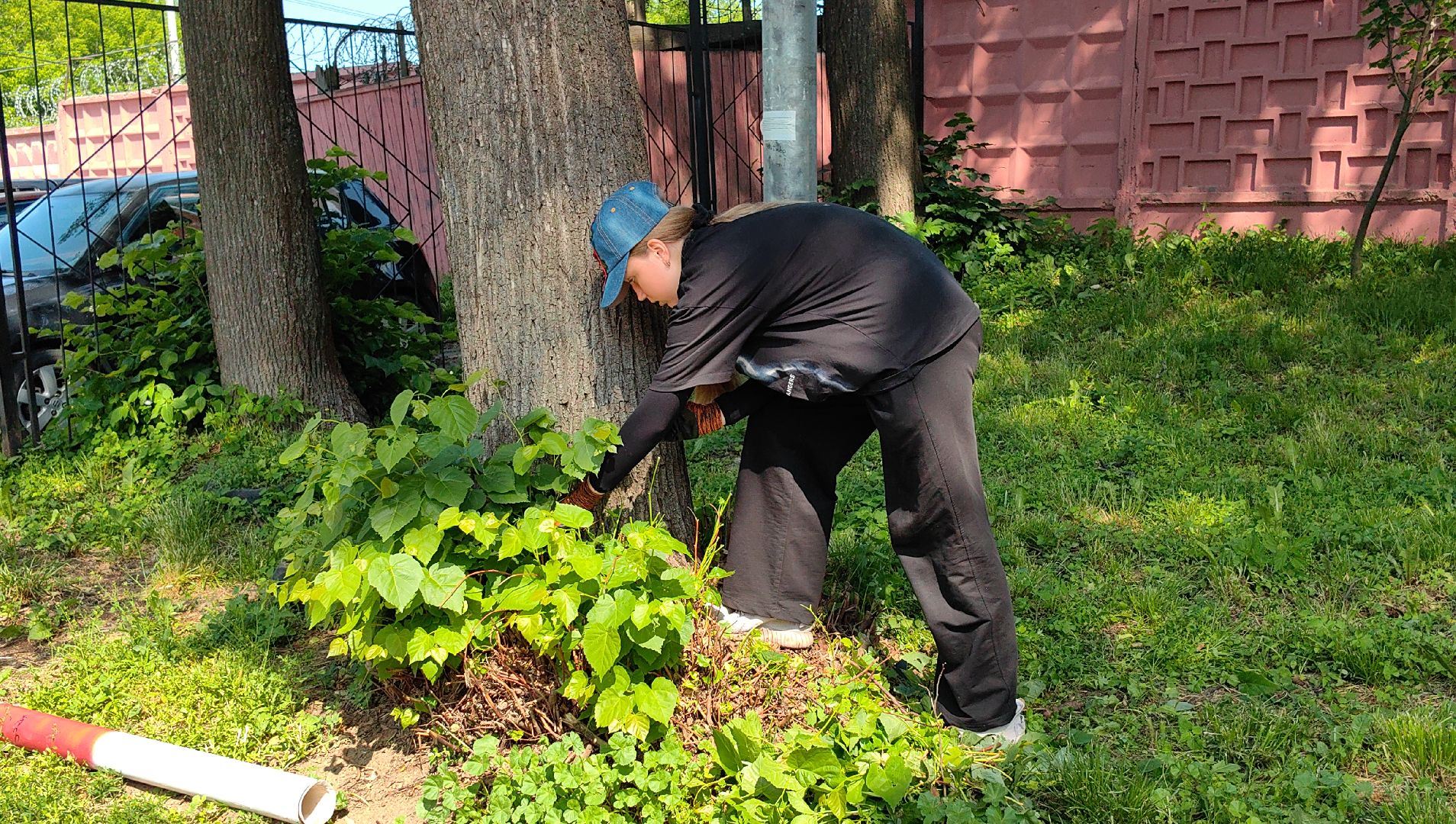 трудовое лето, подростки, школьники, инвентарь, благоустройство,