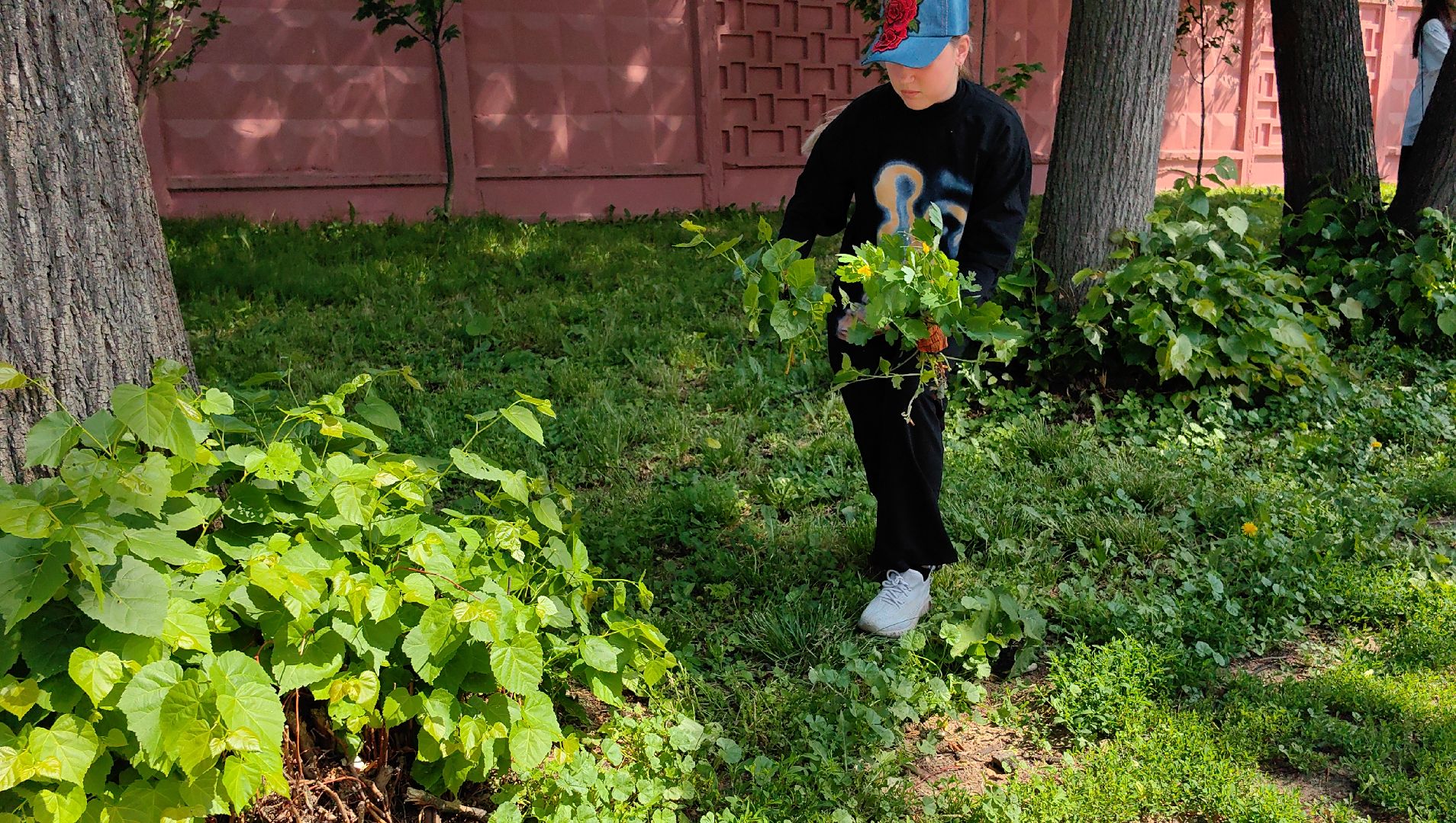трудовое лето, подростки, школьники, инвентарь, благоустройство,