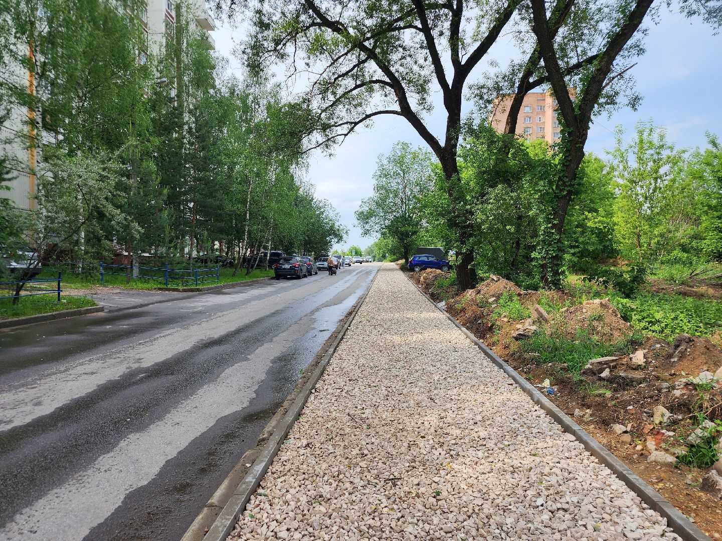 фрязино, пешеходная дорожка, народная тропа, благоустройство,