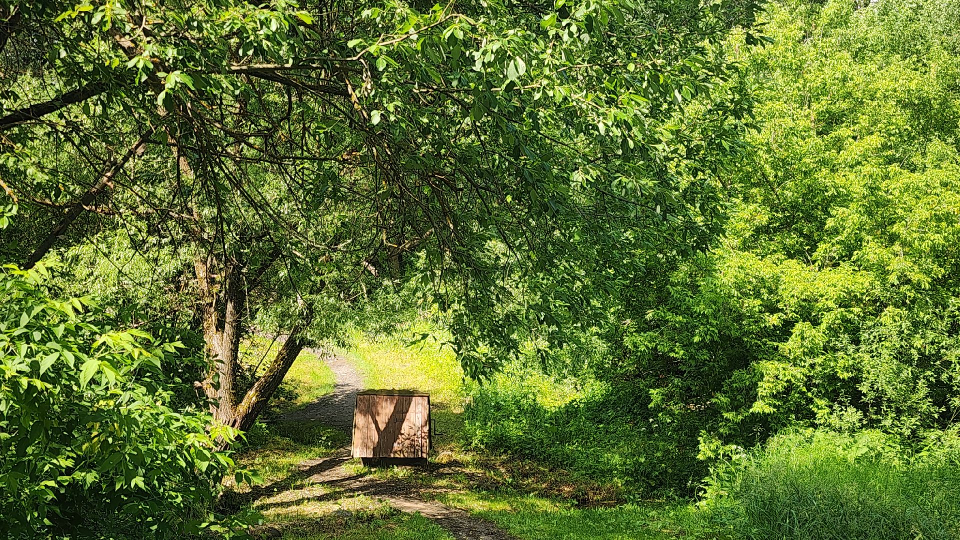 Благоустройство, Звенигород, Добродел, Места отдыха ,