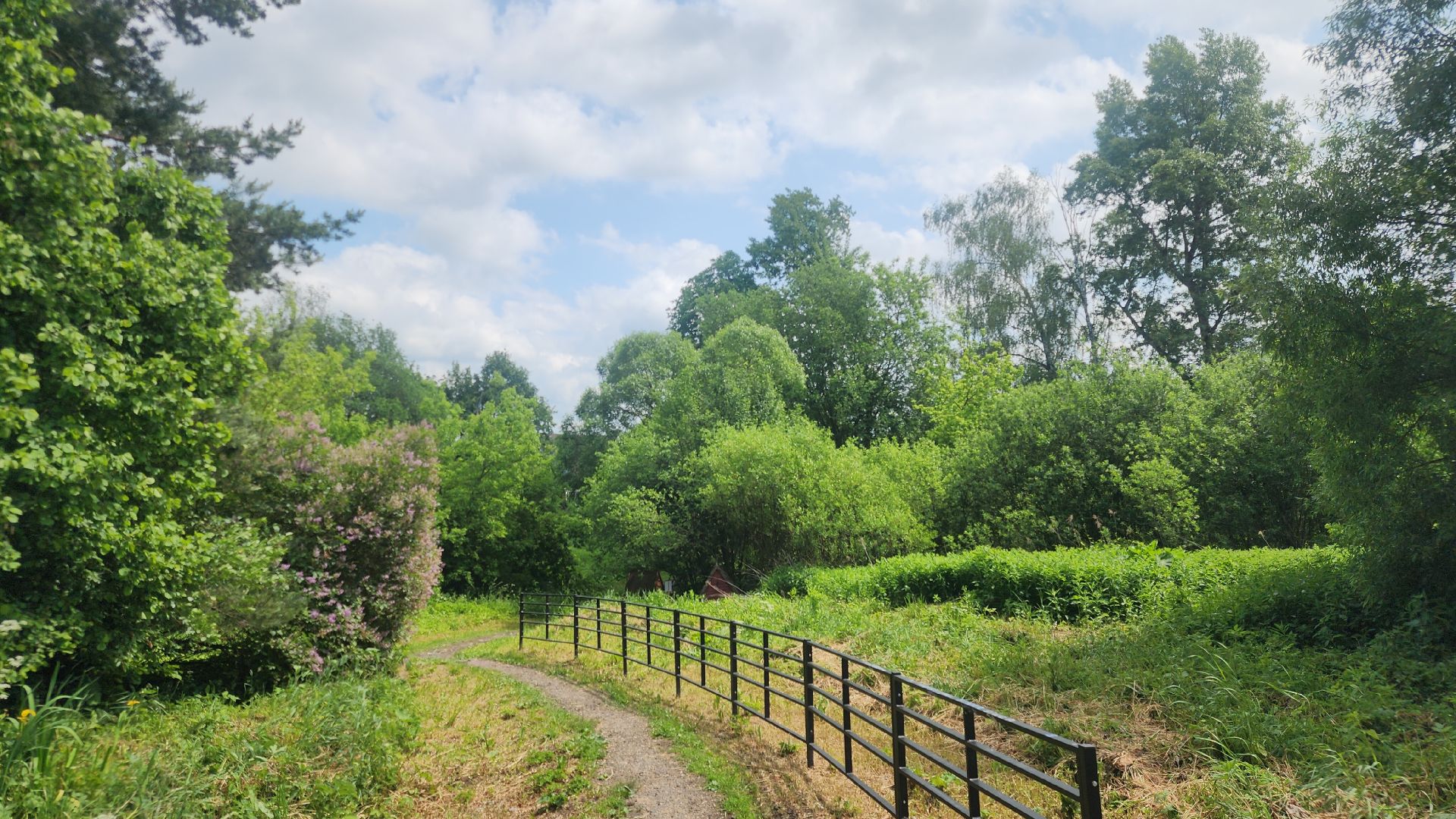 Благоустройство, Звенигород, Добродел, Места отдыха ,
