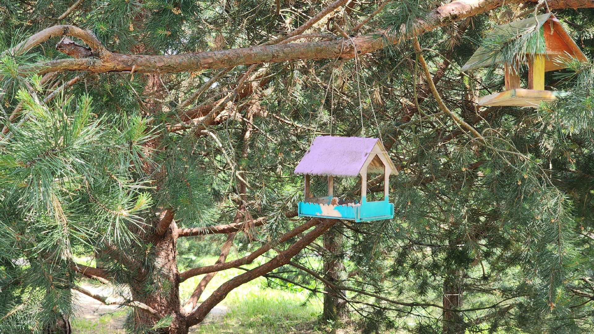 Благоустройство, Звенигород, Добродел, Места отдыха ,