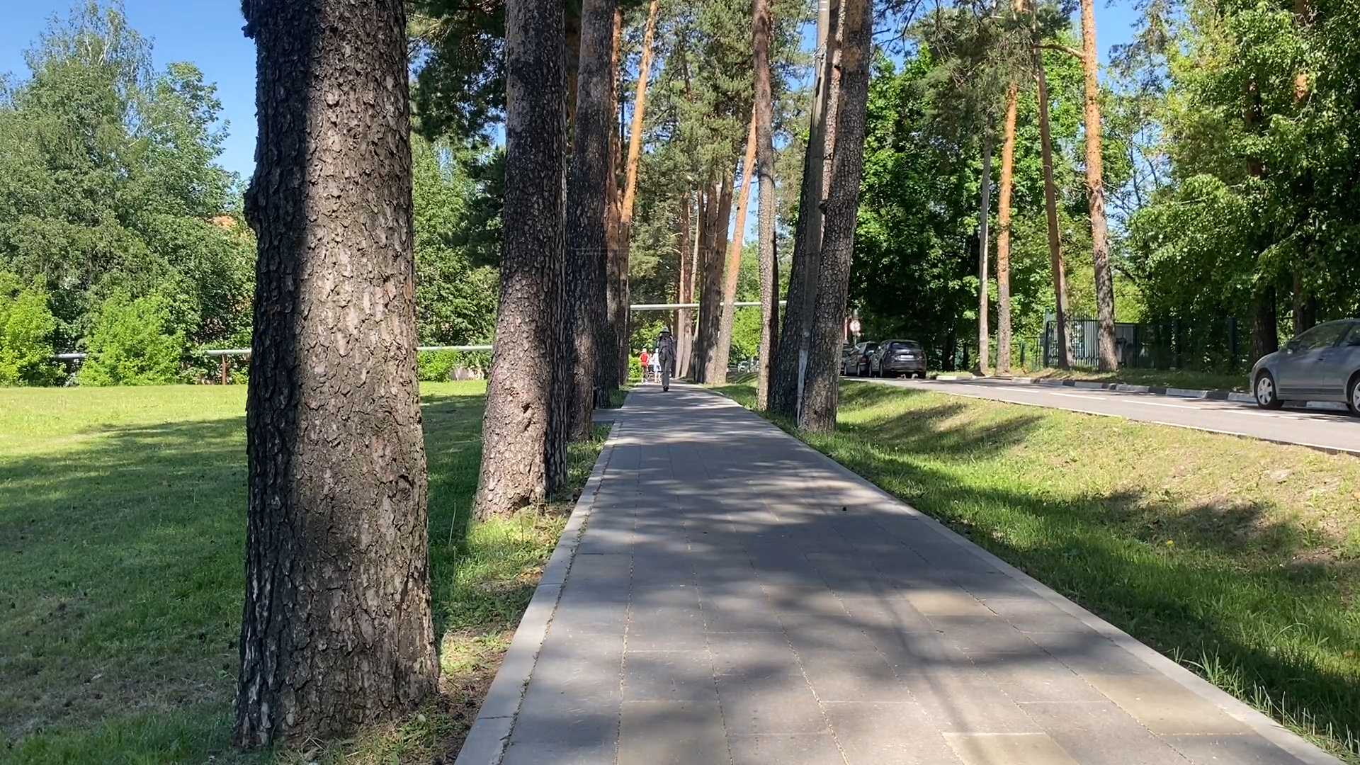 новый каток, ледовый каток, ледовая площадка, спортивный объект, строительство катка,