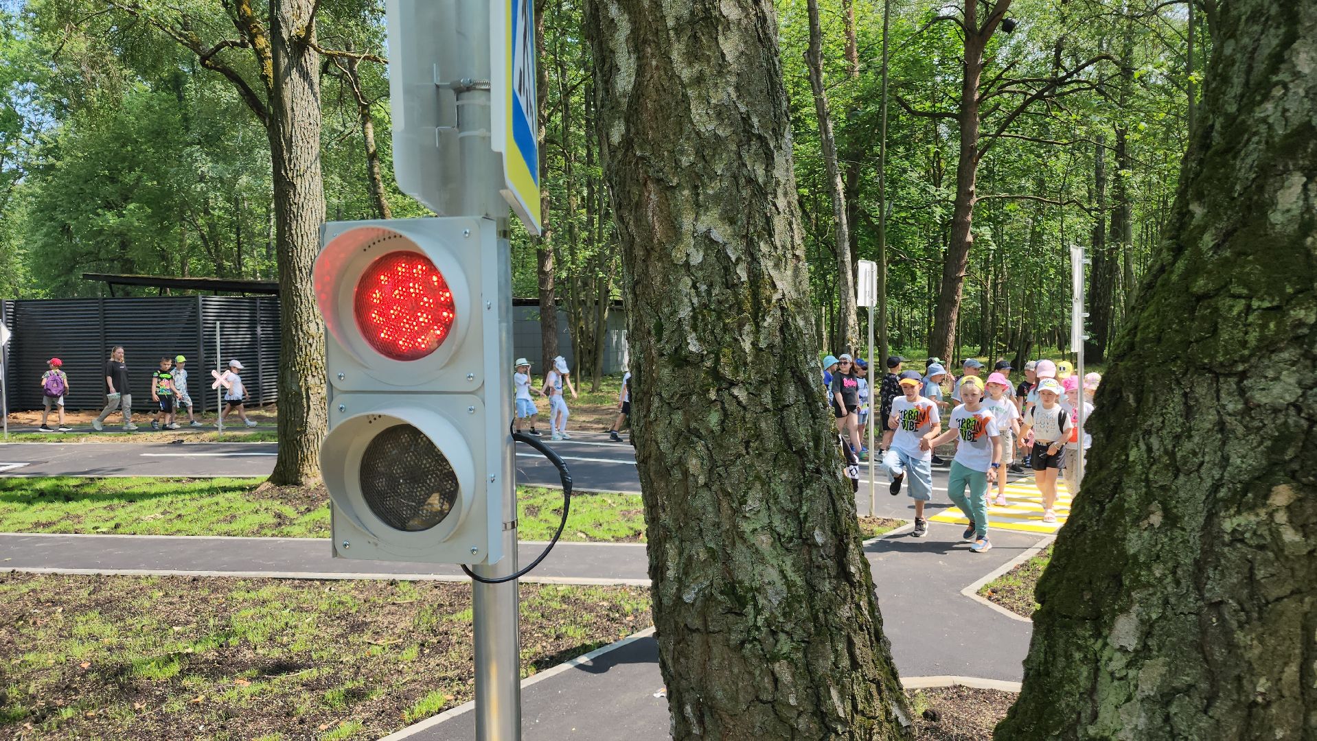 ступино, парки подмосковья, лето в подмосковье,