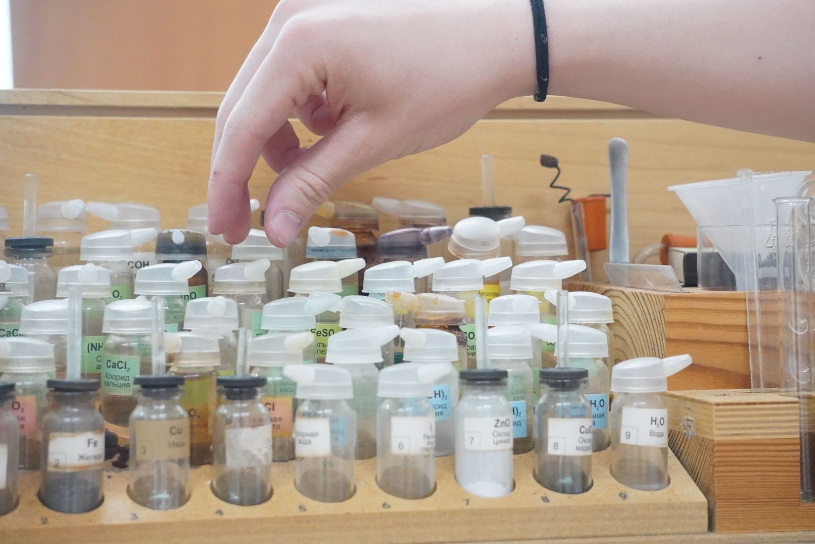 павловский  посад, образование ,